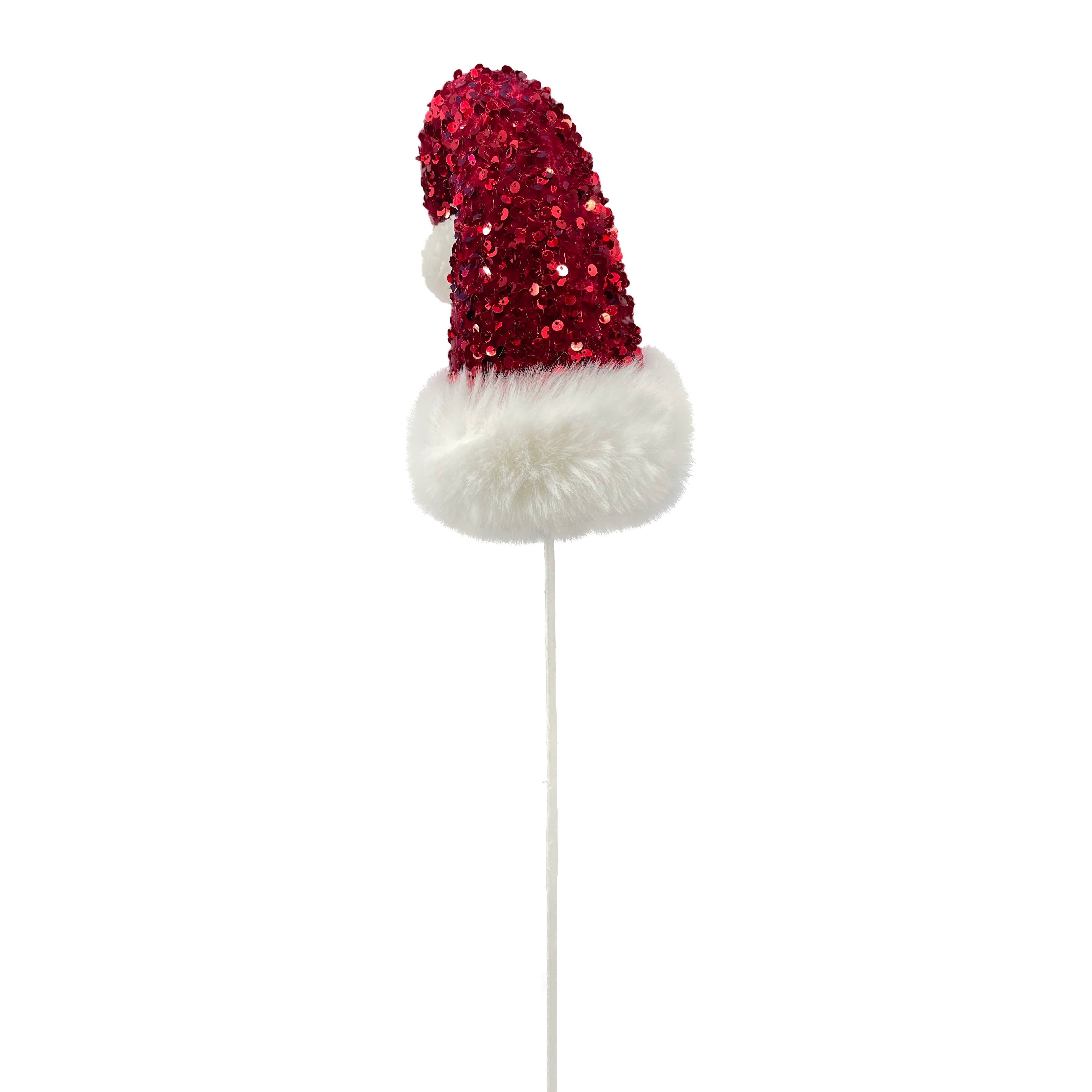 Chapeau de p&#xE8;re No&#xEB;l sur tige de 58,4 cm d&#x2019;Ashland