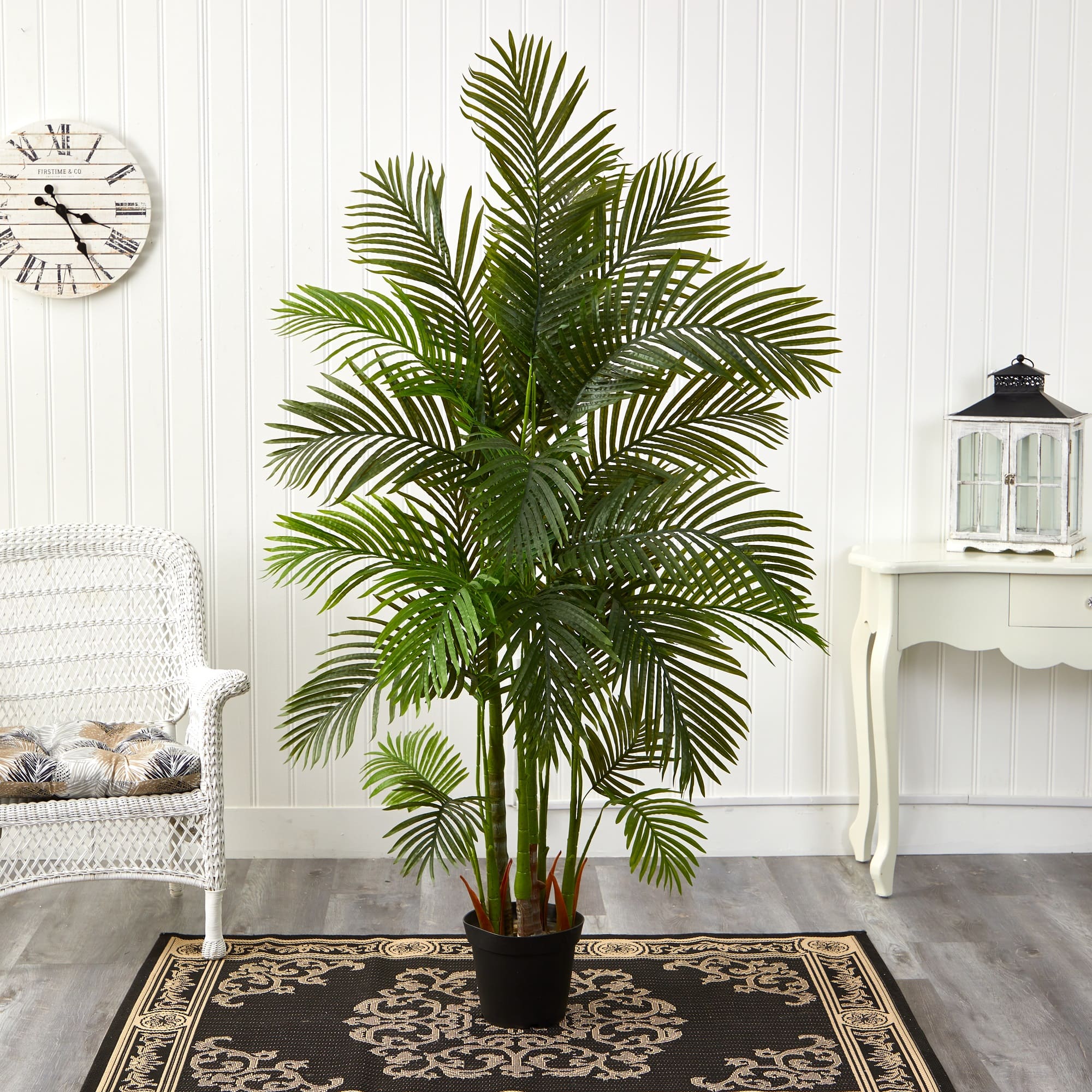 6ft. Potted Areca Palm Tree