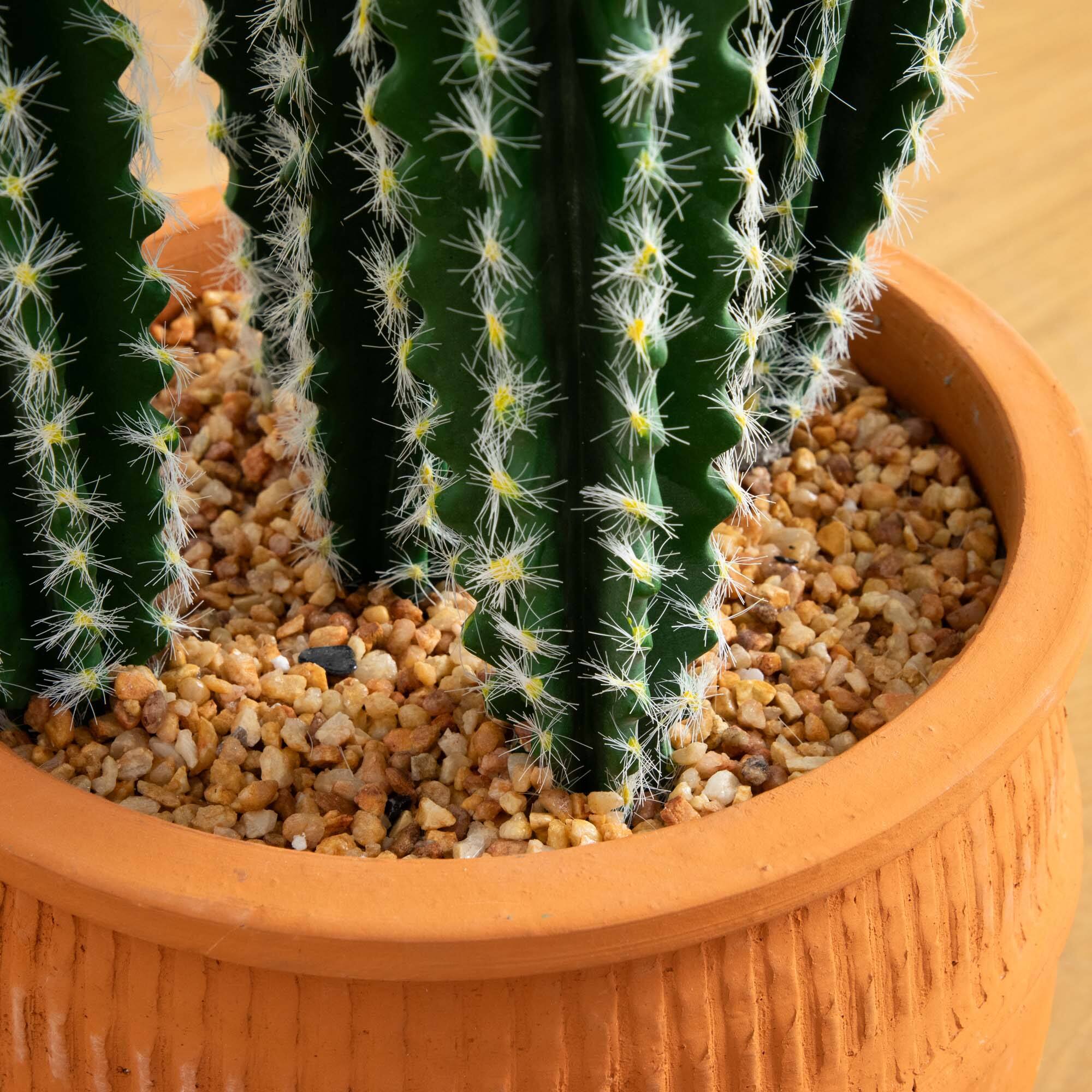 3ft. Cactus in Terracotta Planter