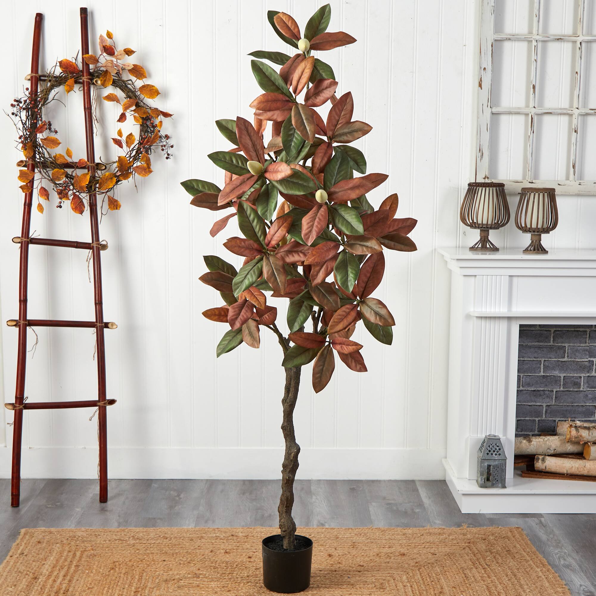 6ft. Potted Fall Magnolia Tree