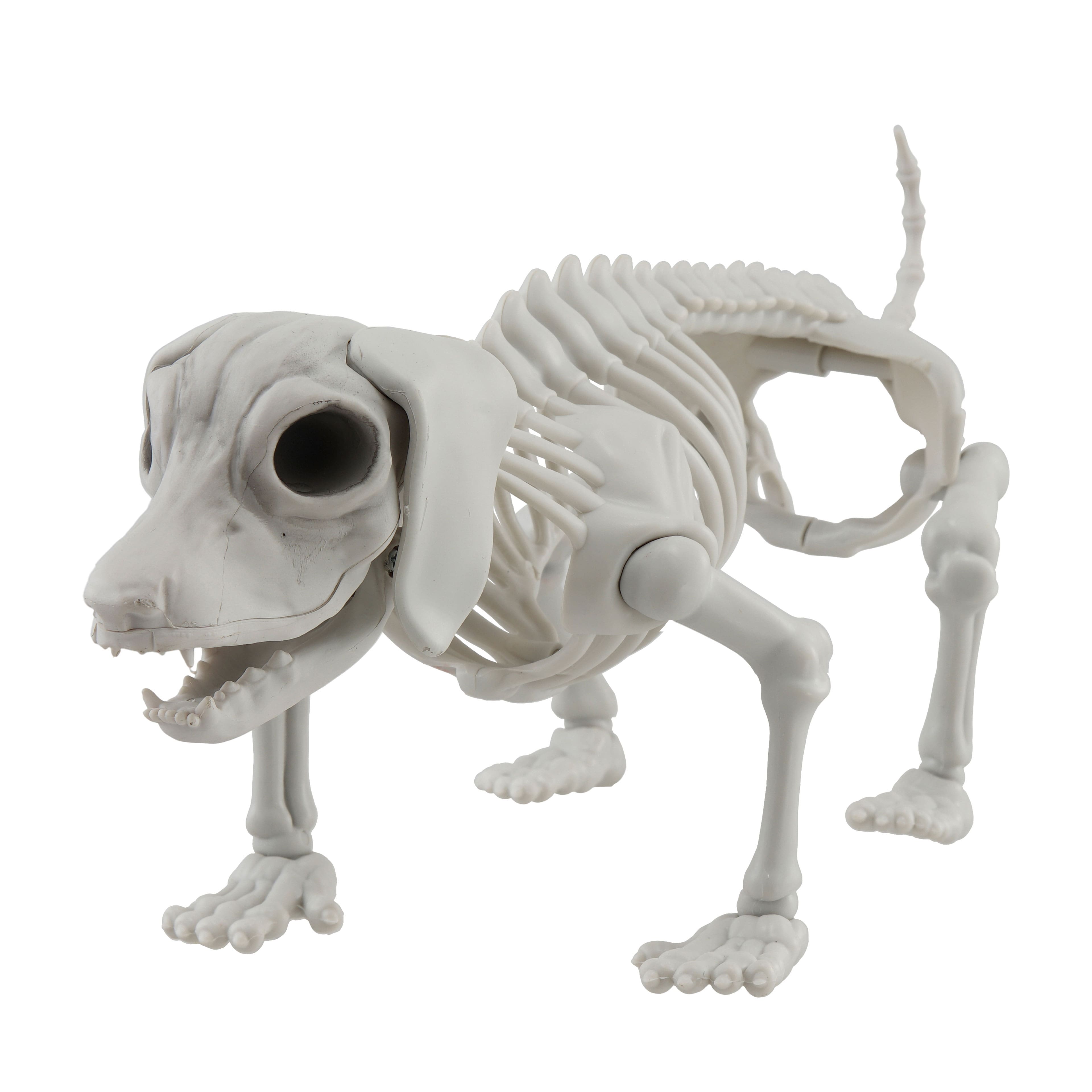 12.5&#x22; Dog Skeleton by Ashland&#xAE;