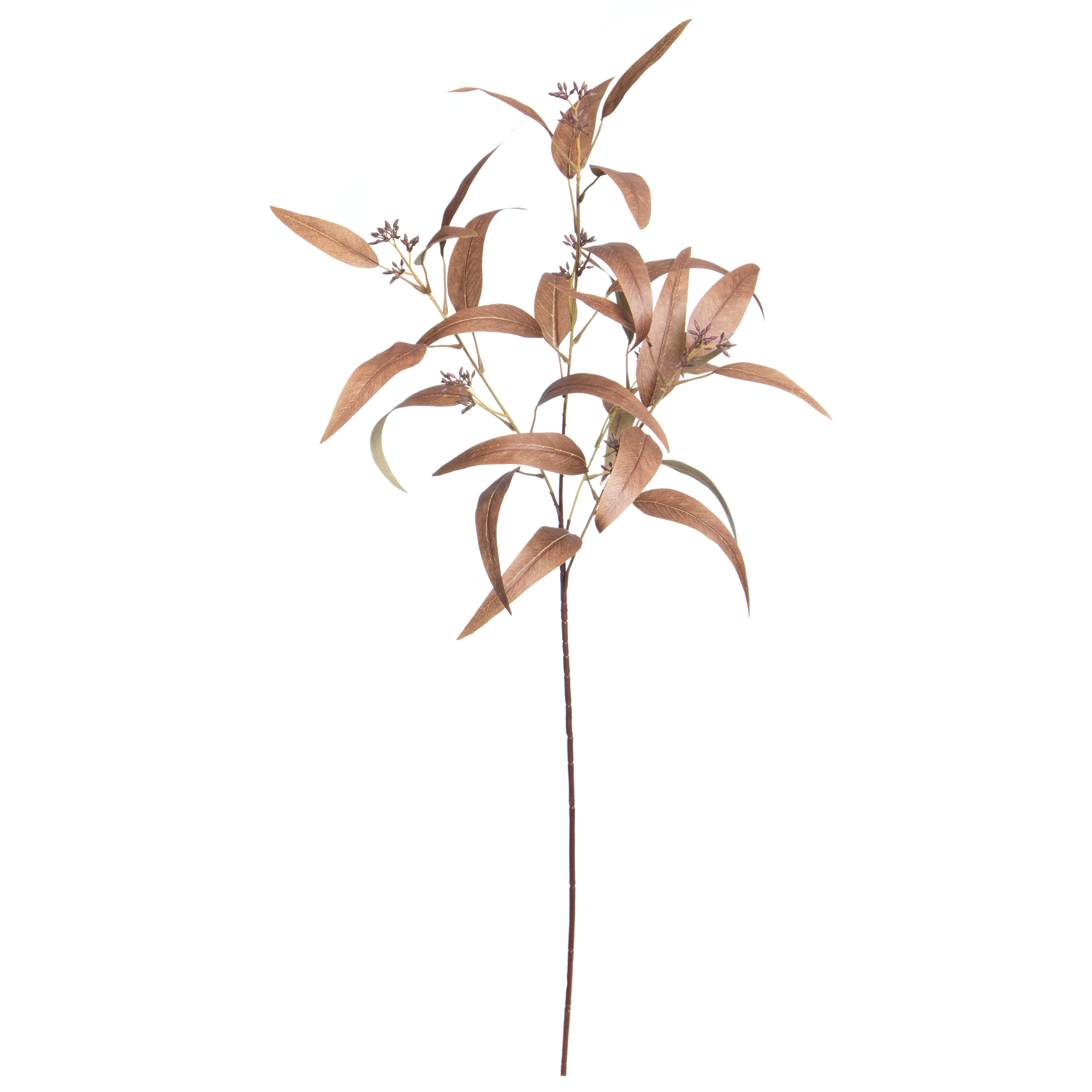 33&#x22; Long Seeded Brown Eucalyptus Stem by Ashland&#xAE; Fall