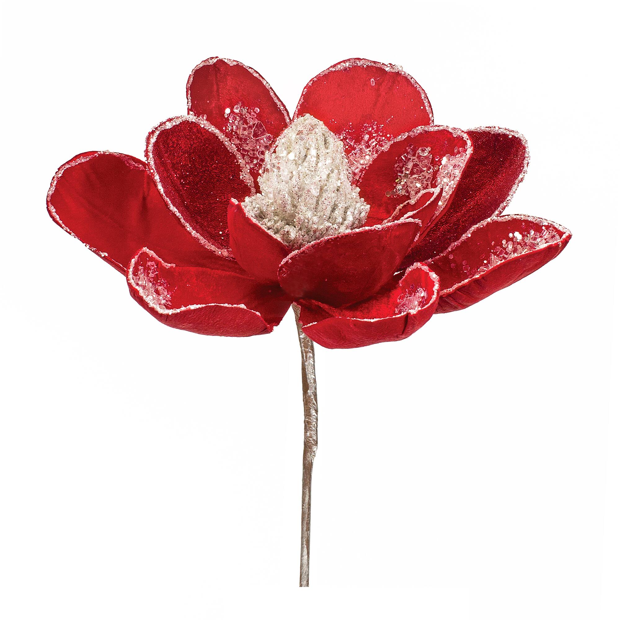 20&#x22; Red Magnolia Stem, 6ct.