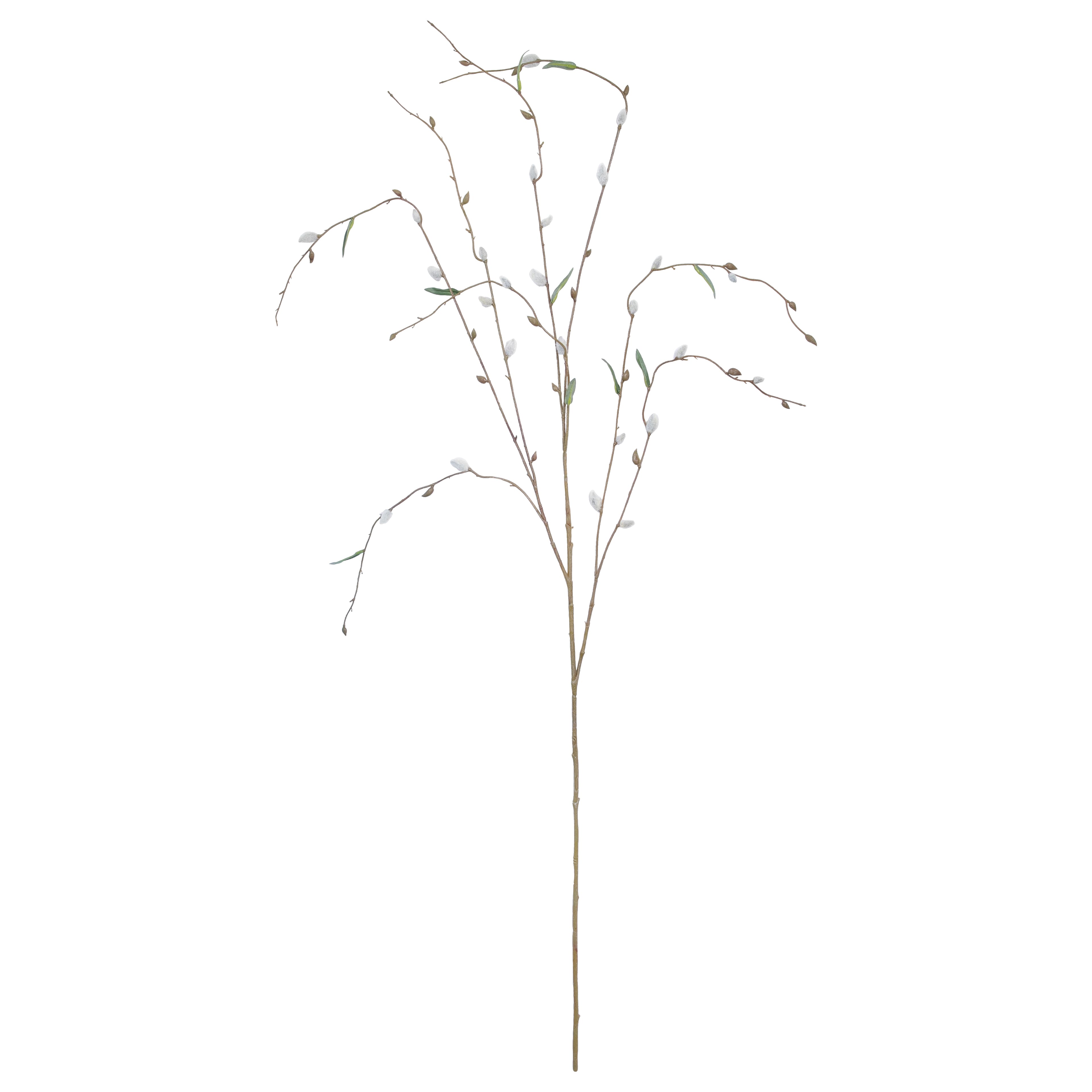 45&#x22; Cream Willow Stem by Ashland&#xAE;