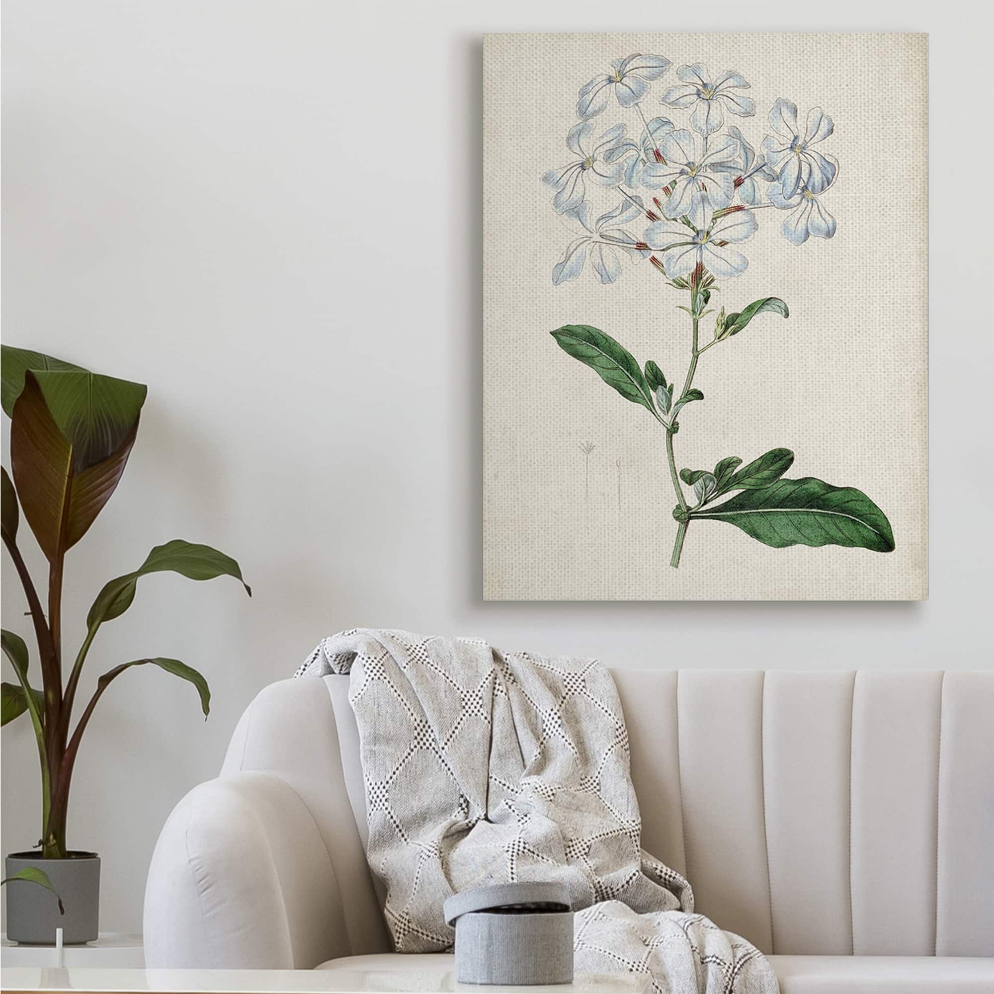 Stupell Industries Rustic Garden Floral Study Charming White Blossoms Canvas Wall Art