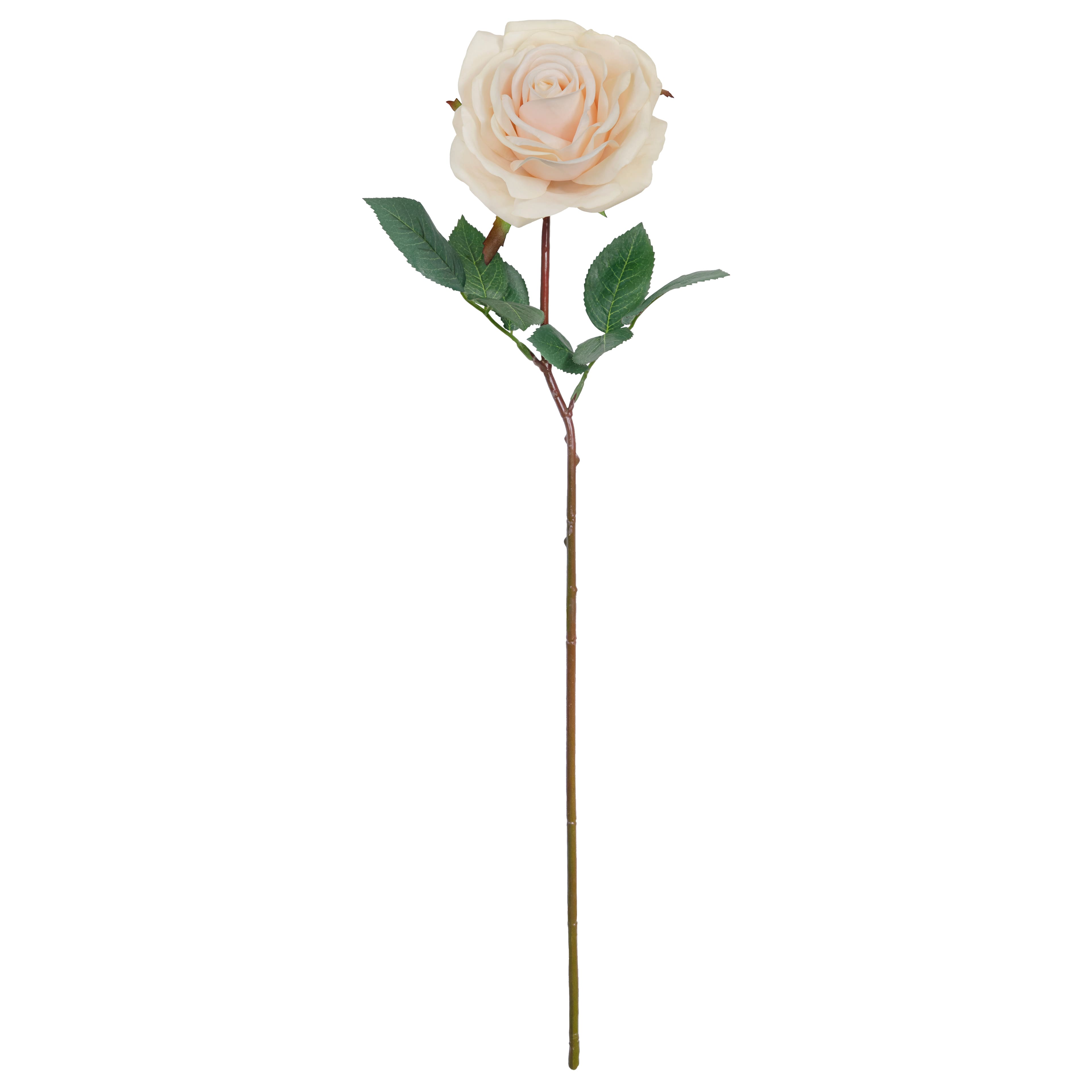 Red Rose Stem by Ashland®