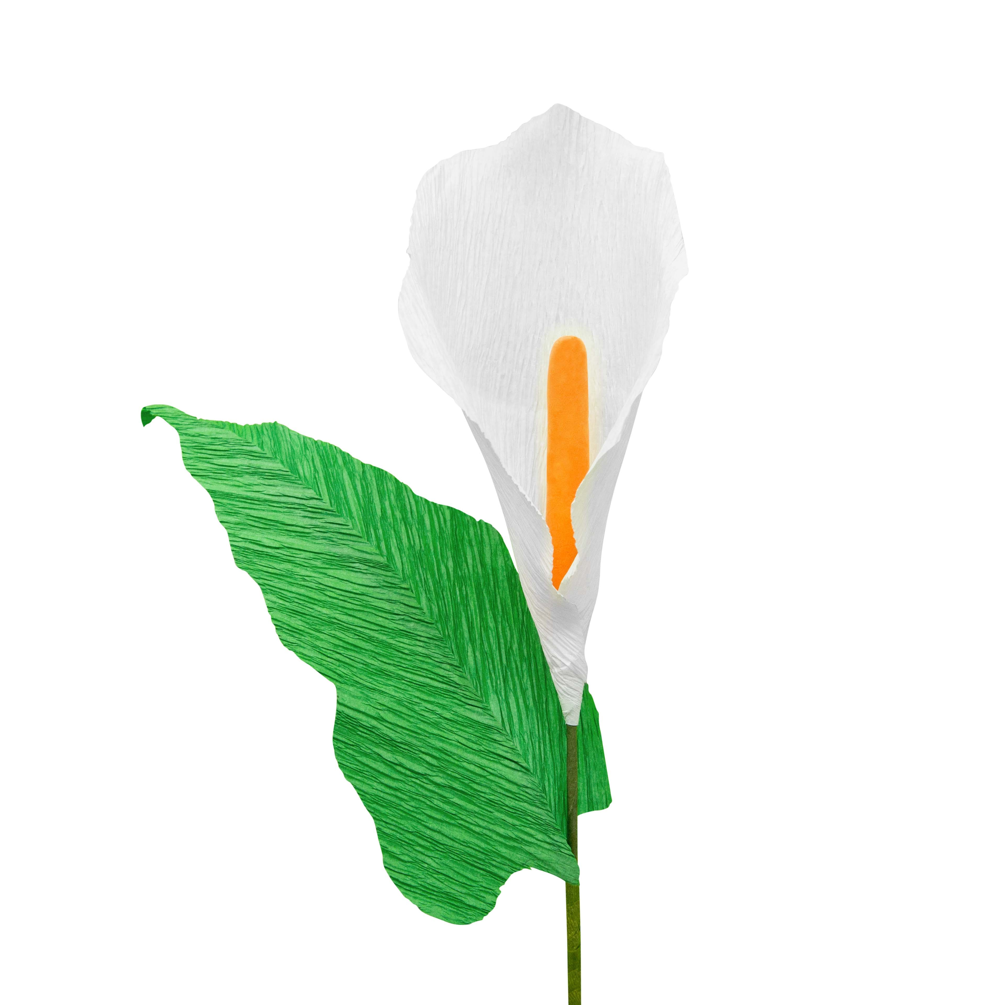 Small Calla Lily Crepe Paper Flower Kit by Recollections&#x2122;