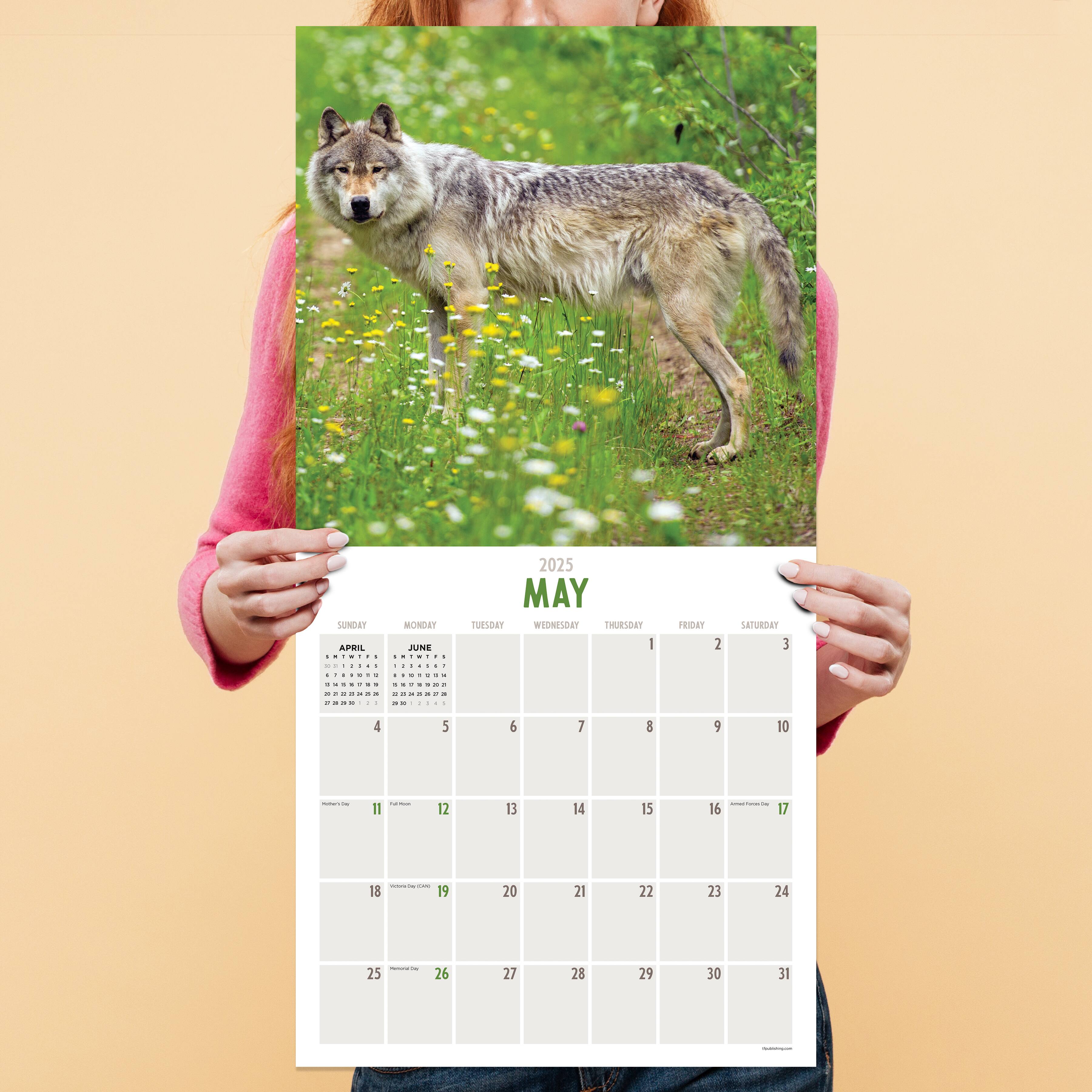 TF Publishing 2025 Wolves Wall Calendar