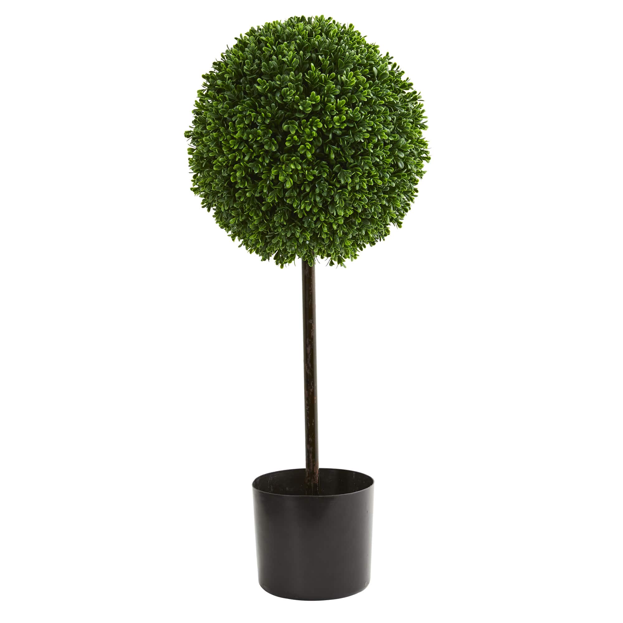 2.5ft. Potted Boxwood Ball Topiary Tree