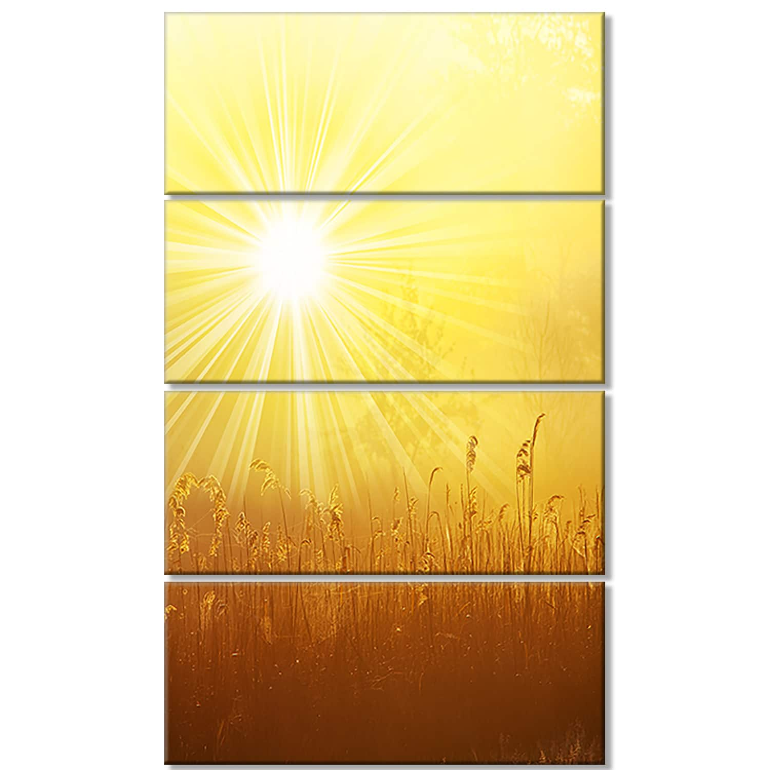 Designart - Amazing Sunrise over Meadow