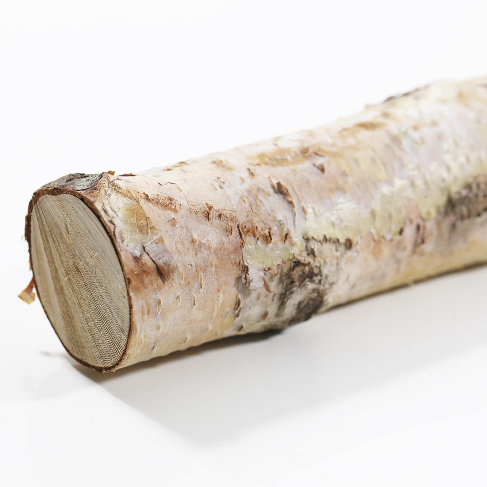 16&#x22; Birch Log by Ashland&#xAE;