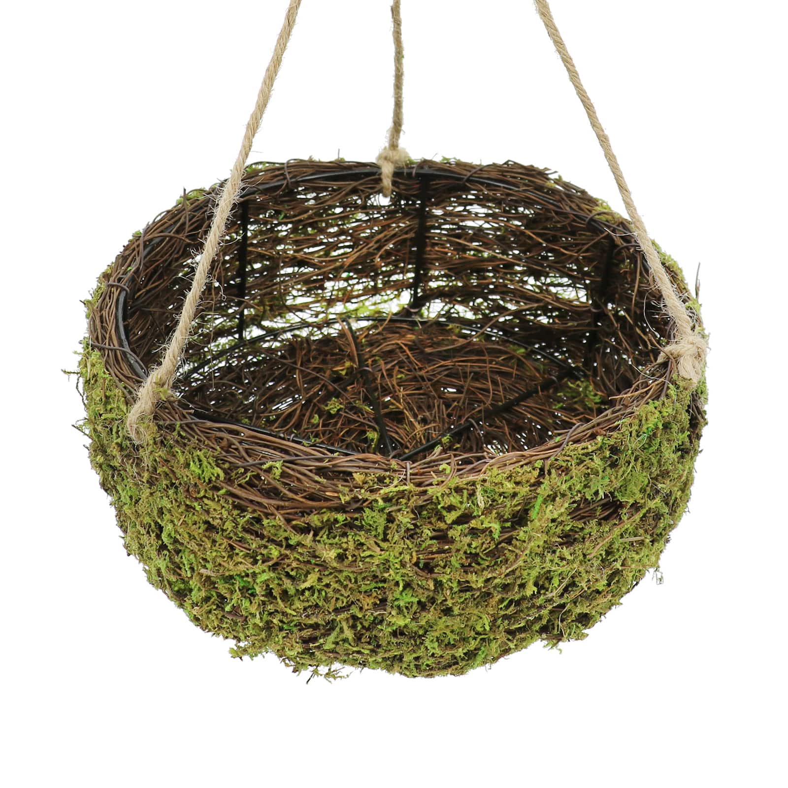 8&#x22; Moss Hanging Basket by Ashland&#xAE;
