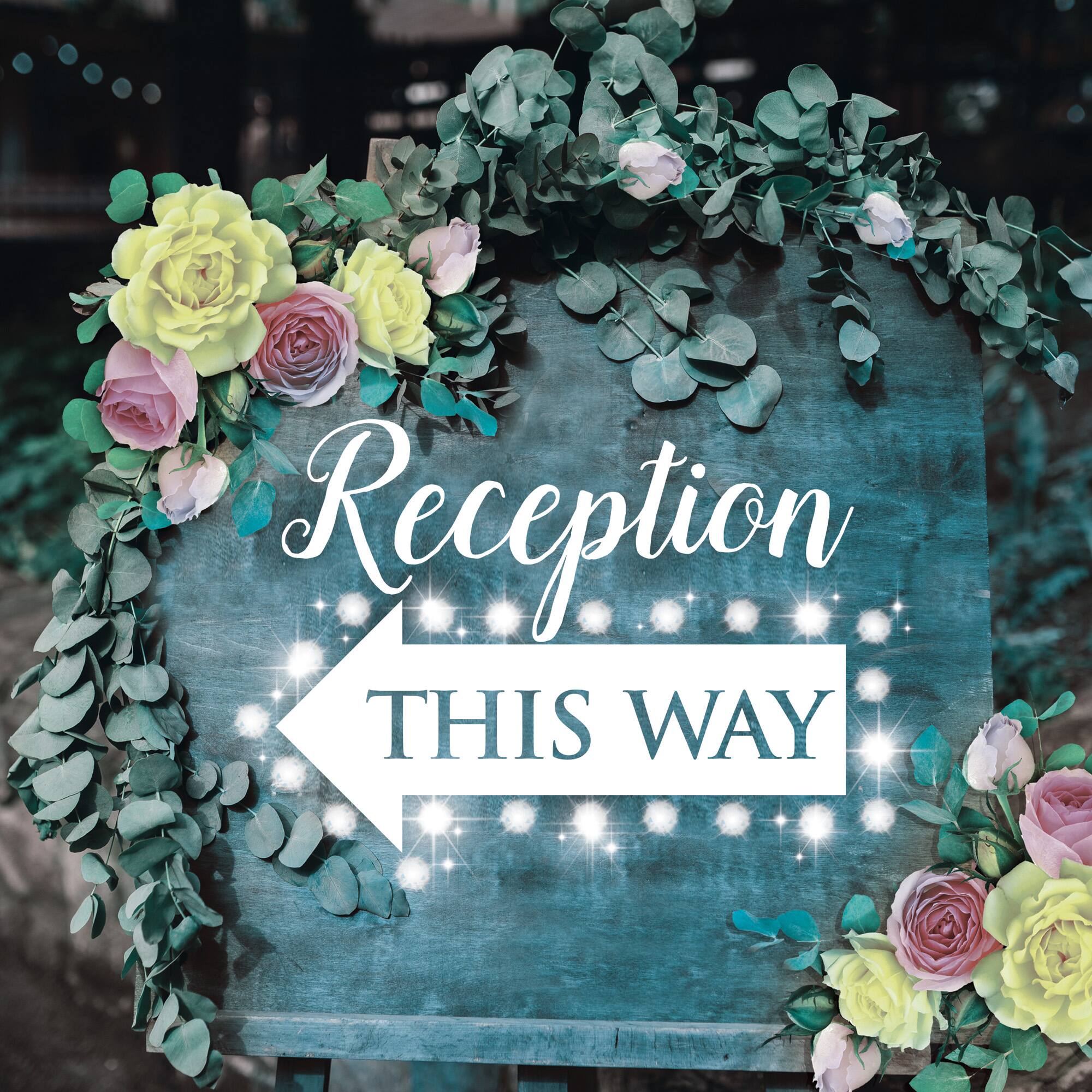 ArtSkills® 20ct. Cool White LED String Lights