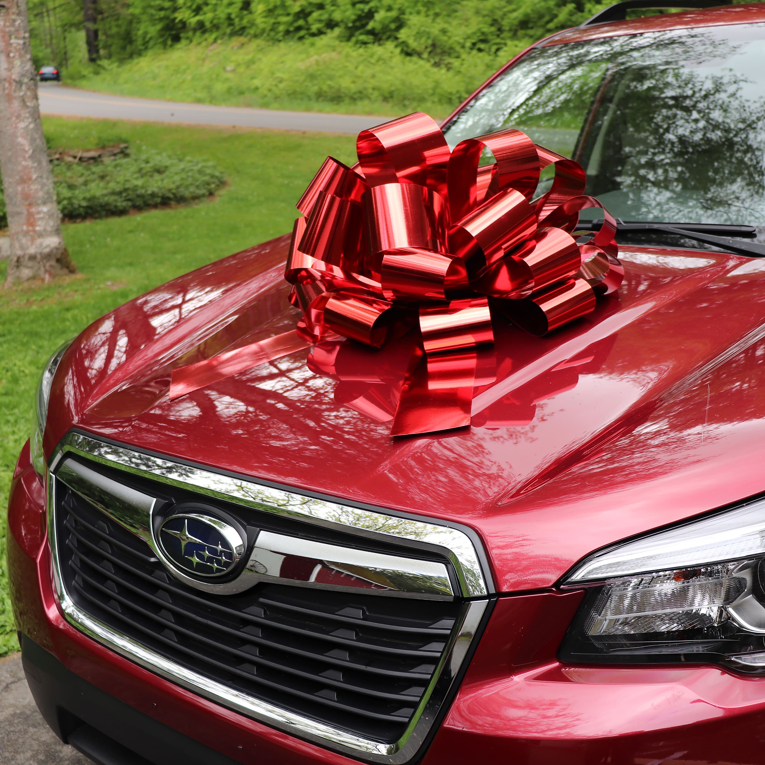 Gwen Studios 24" Giant Red Waterproof Car Bow