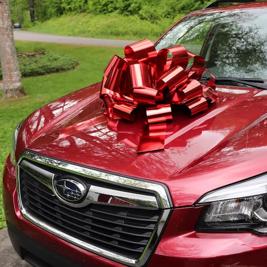 Gwen Studios 24" Giant Red Waterproof Car Bow | Michaels