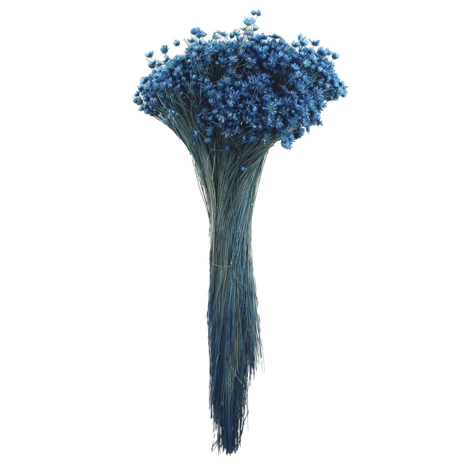 14" Navy Blue Dried Campo Flower Bunch by Ashland®
