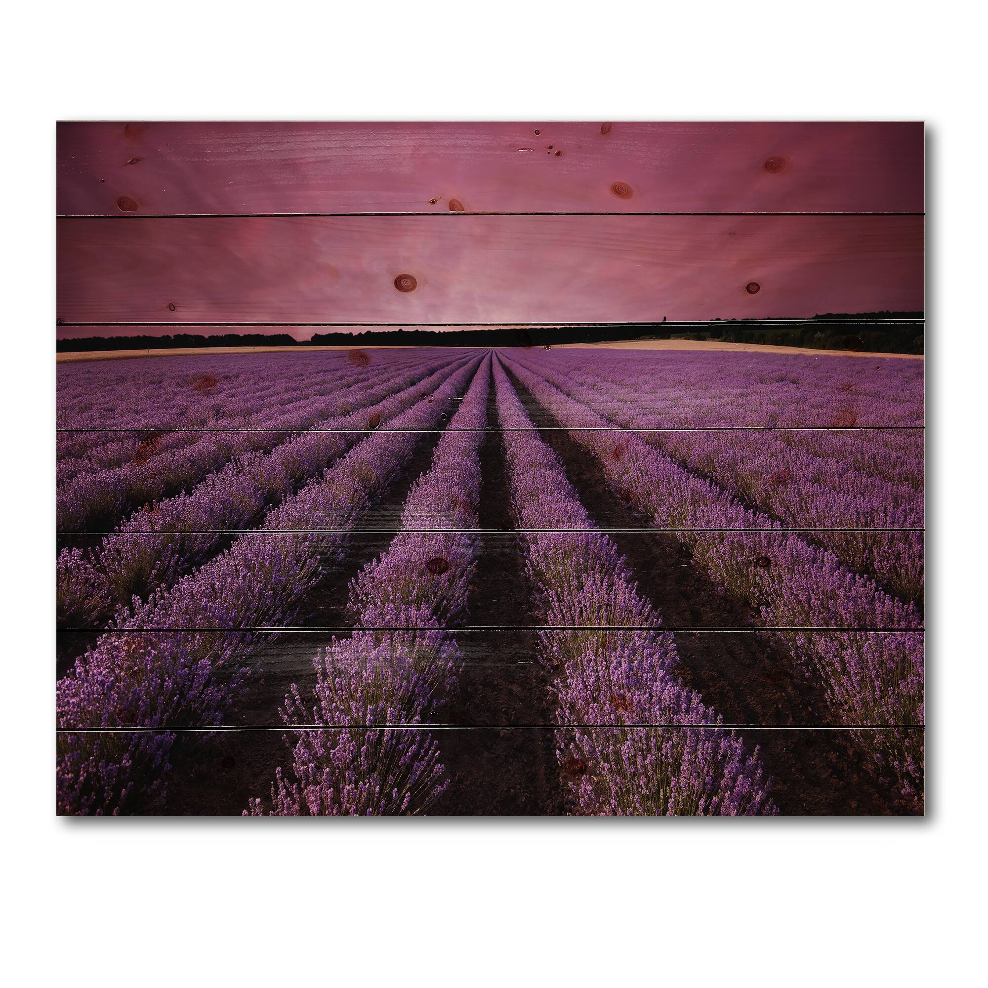 Designart - Sunrise &#x26; Dramatic Clouds Over Lavender Field XI - Farmhouse Print on Natural Pine Wood