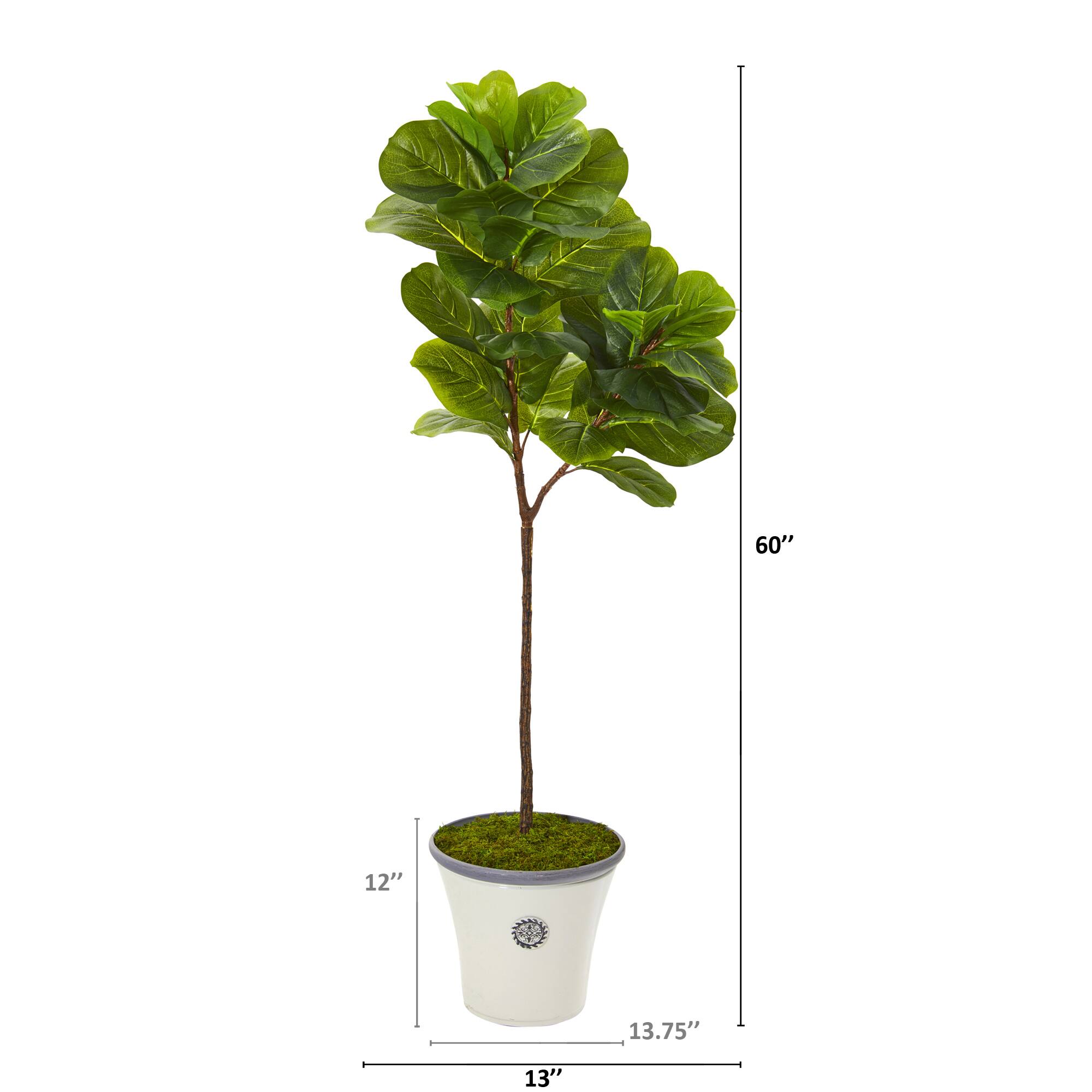 5ft. Fiddle Leaf Tree in Decorative Planter
