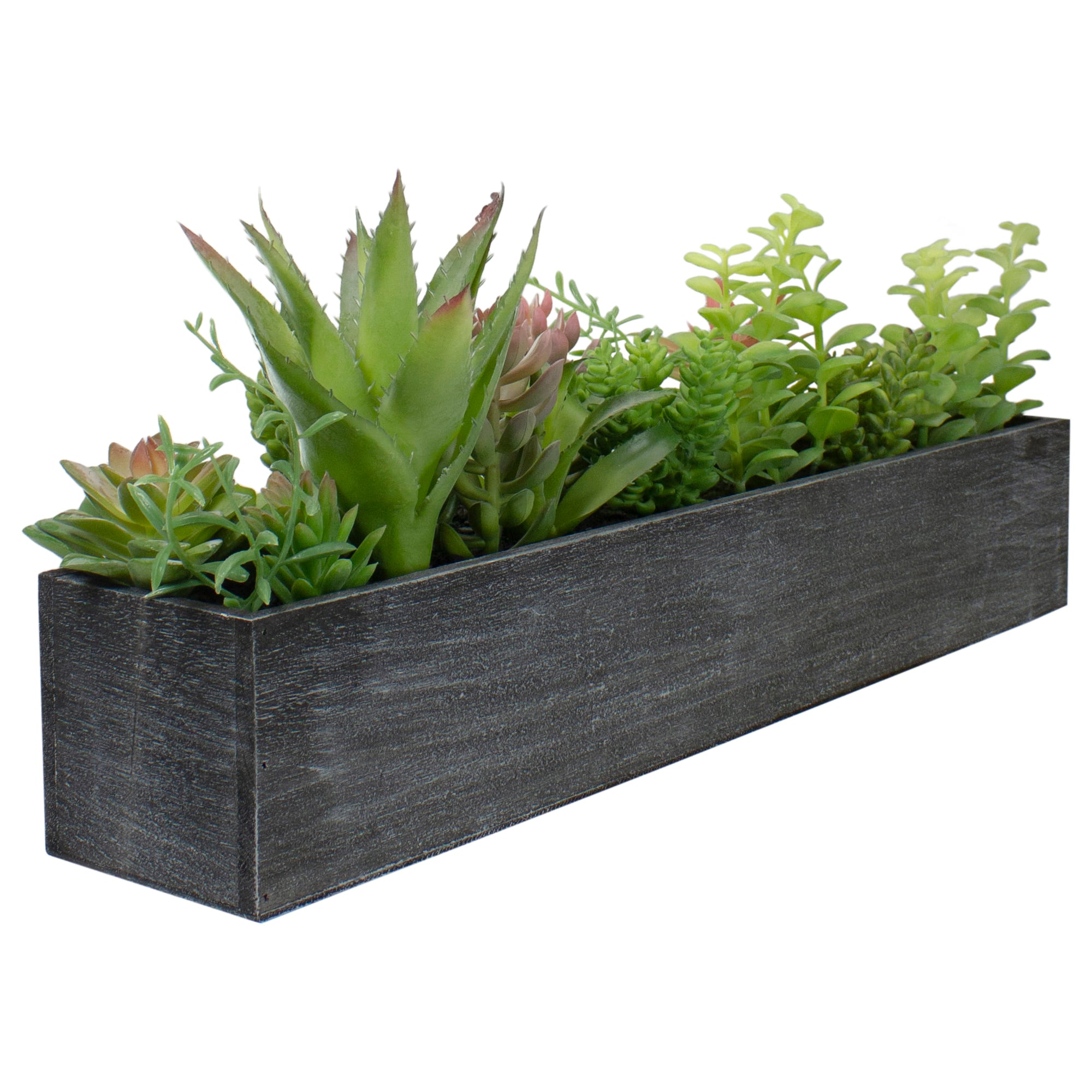 23" Mixed Succulent Plants in Rectangular Planter