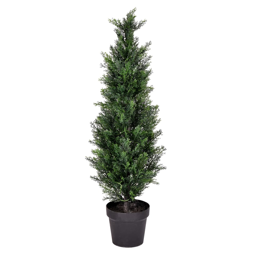 3ft. Potted Cedar Tree