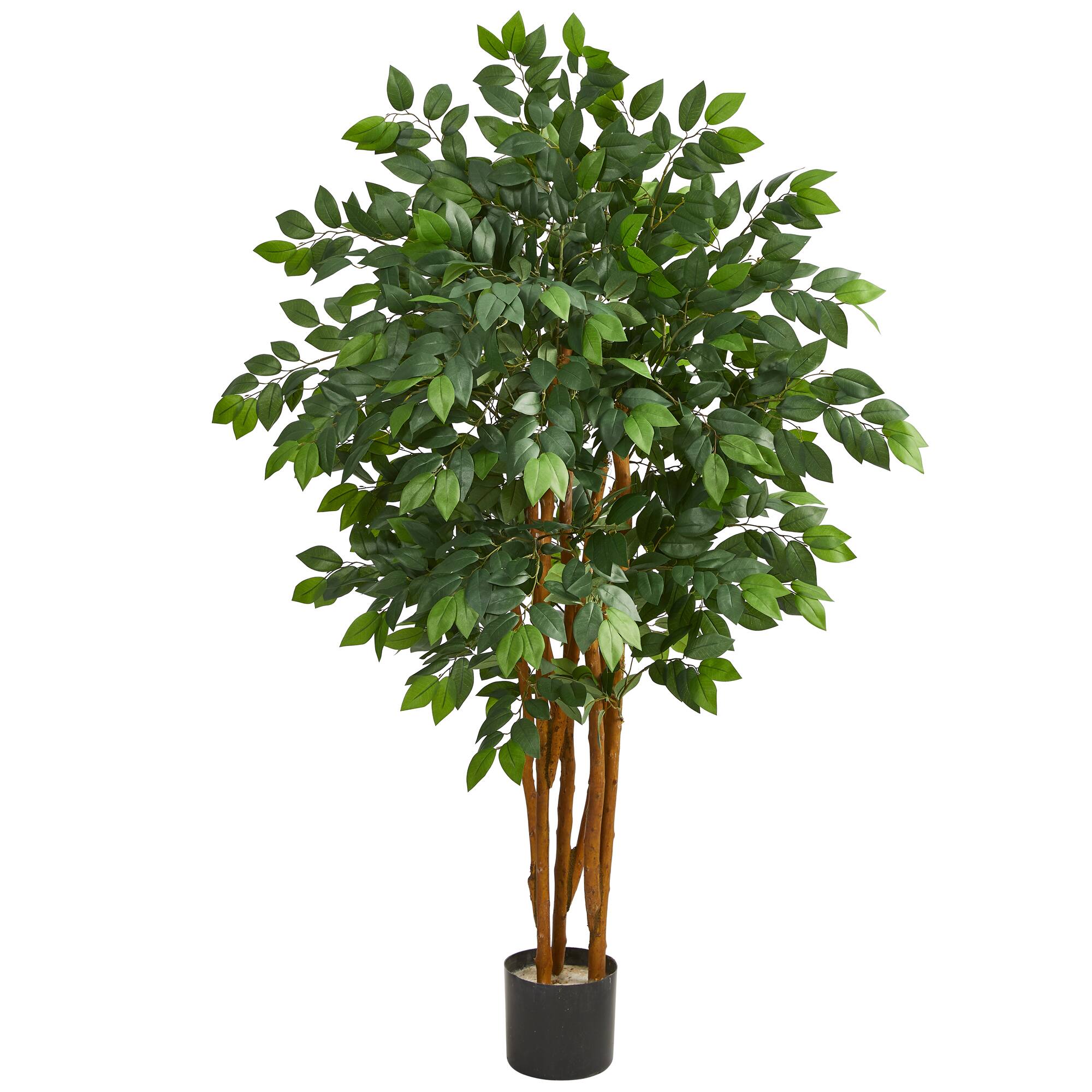 4Ft Potted Sakaki Tree By Nearly Natural | Michaels®