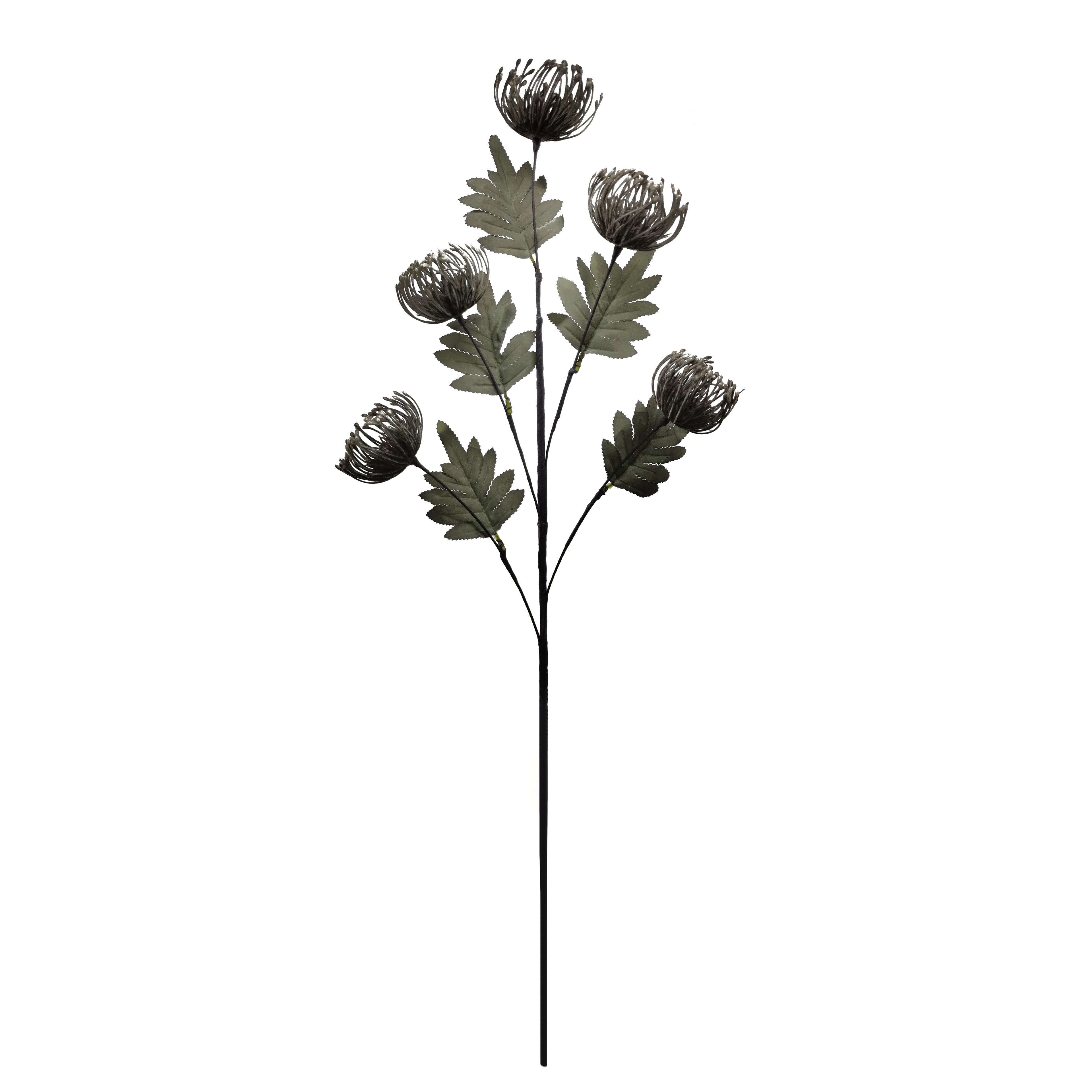 30&#x22; Gray Halloween Protea Stem by Ashland&#xAE;