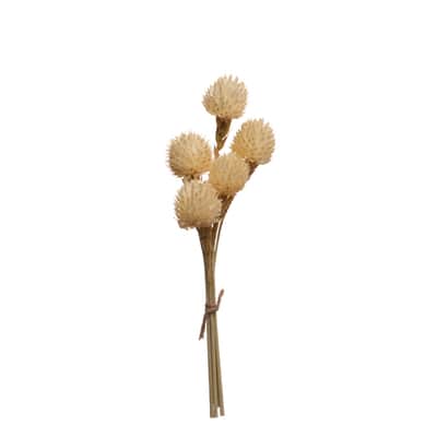 Dried White Gomphrena Decorative Naturals by Ashland® | Michaels