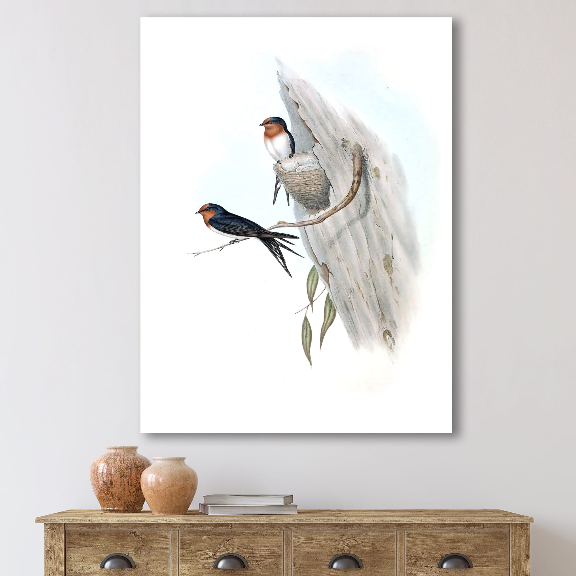 Designart - Vintage Australian Bird Illustrations II - Traditional Canvas Wall Art Print