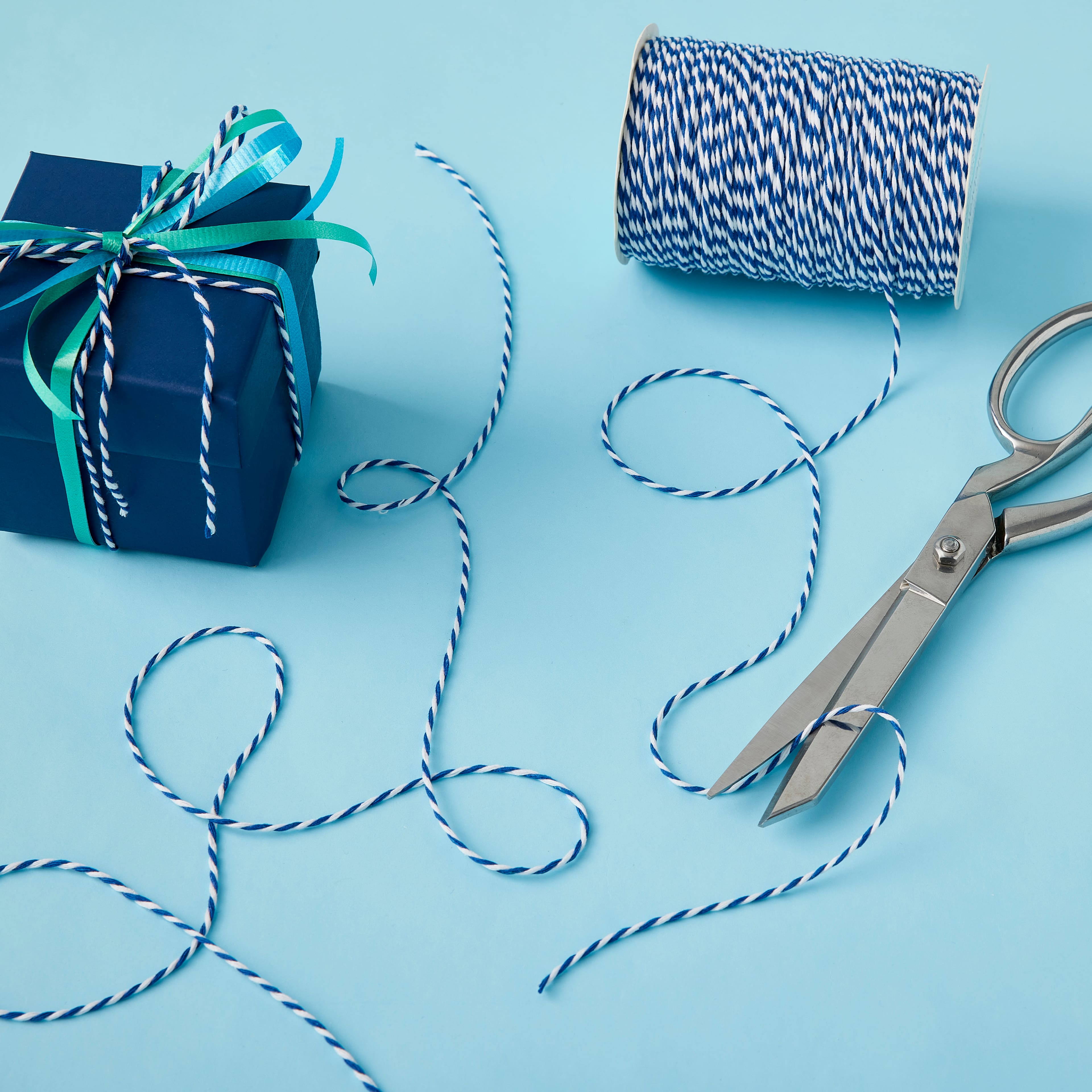 12 Pack: 100yd. Twine by Celebrate It&#x2122;