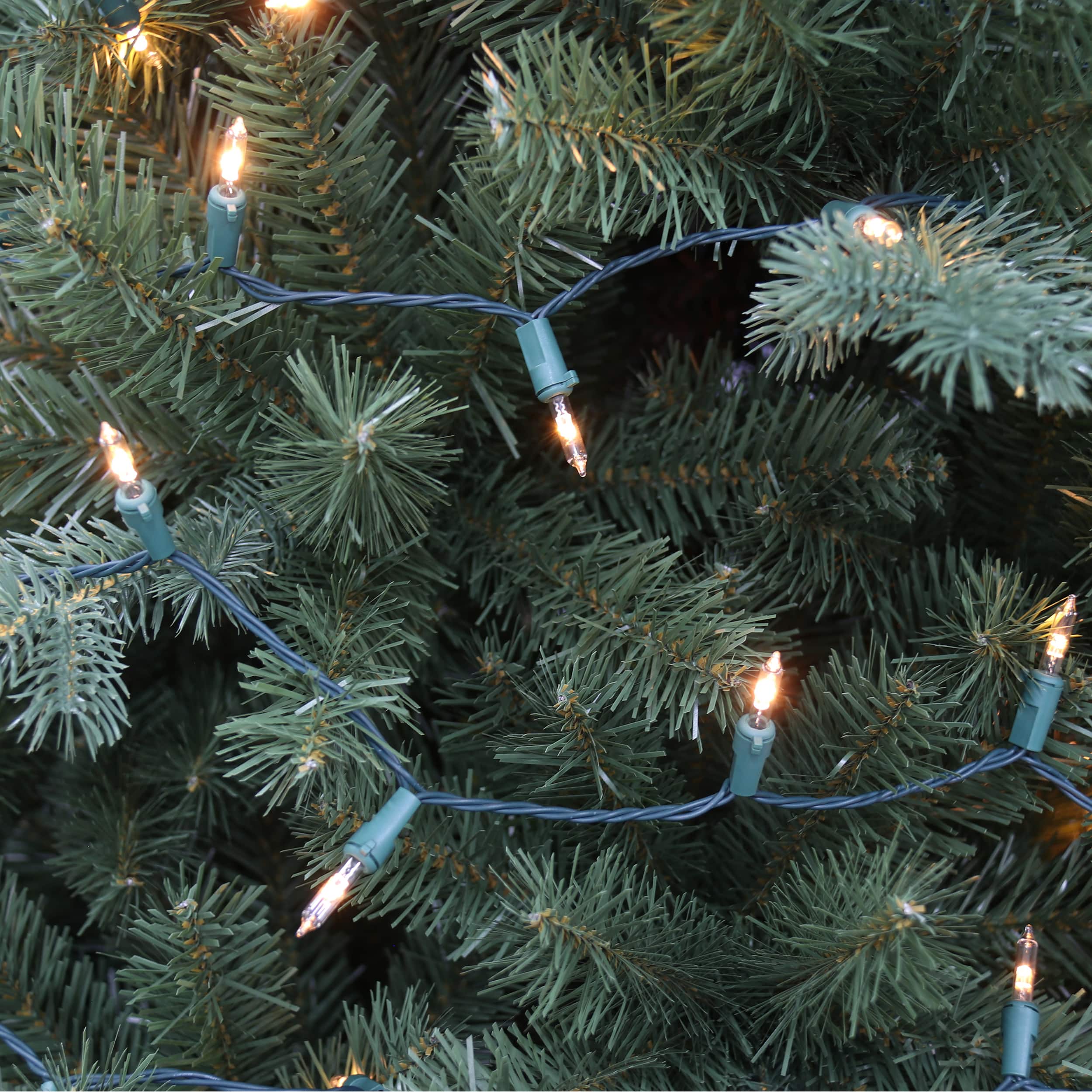 100ct. Color Changing Mini LED Glass 8 Function String Lights on Green Wire by Ashland&#xAE;