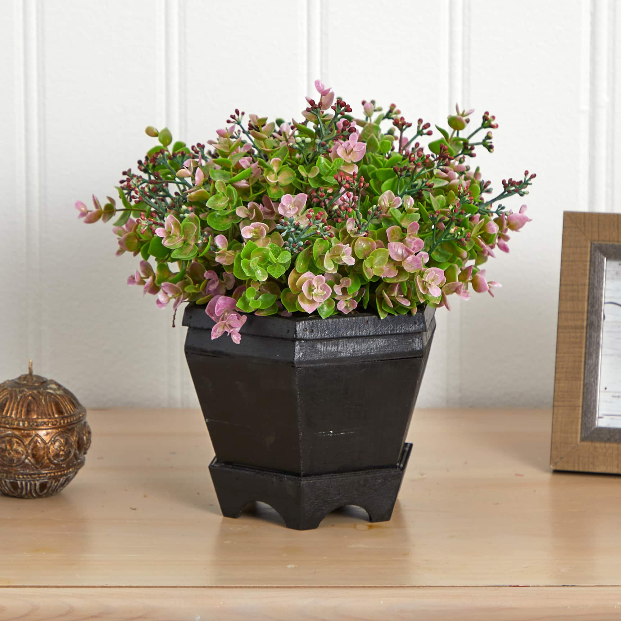 13in. Sedum &#x26; Eucalyptus Plant in Black Hexagon Planter