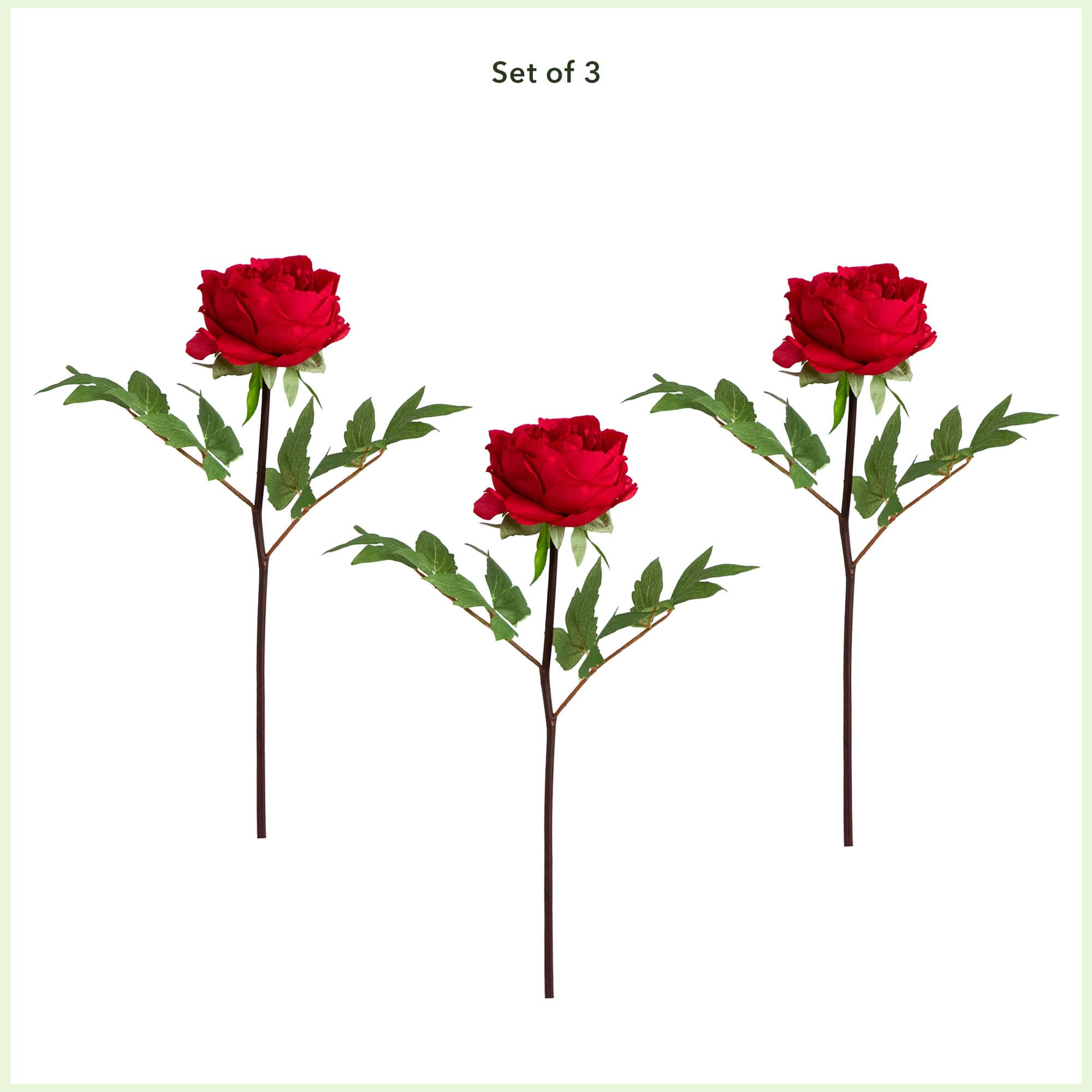 20&#x22; Red Peony Flower Stems, 3ct.