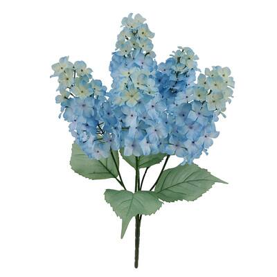 Blue Cone Hydrangea Bush by Ashland® | Michaels