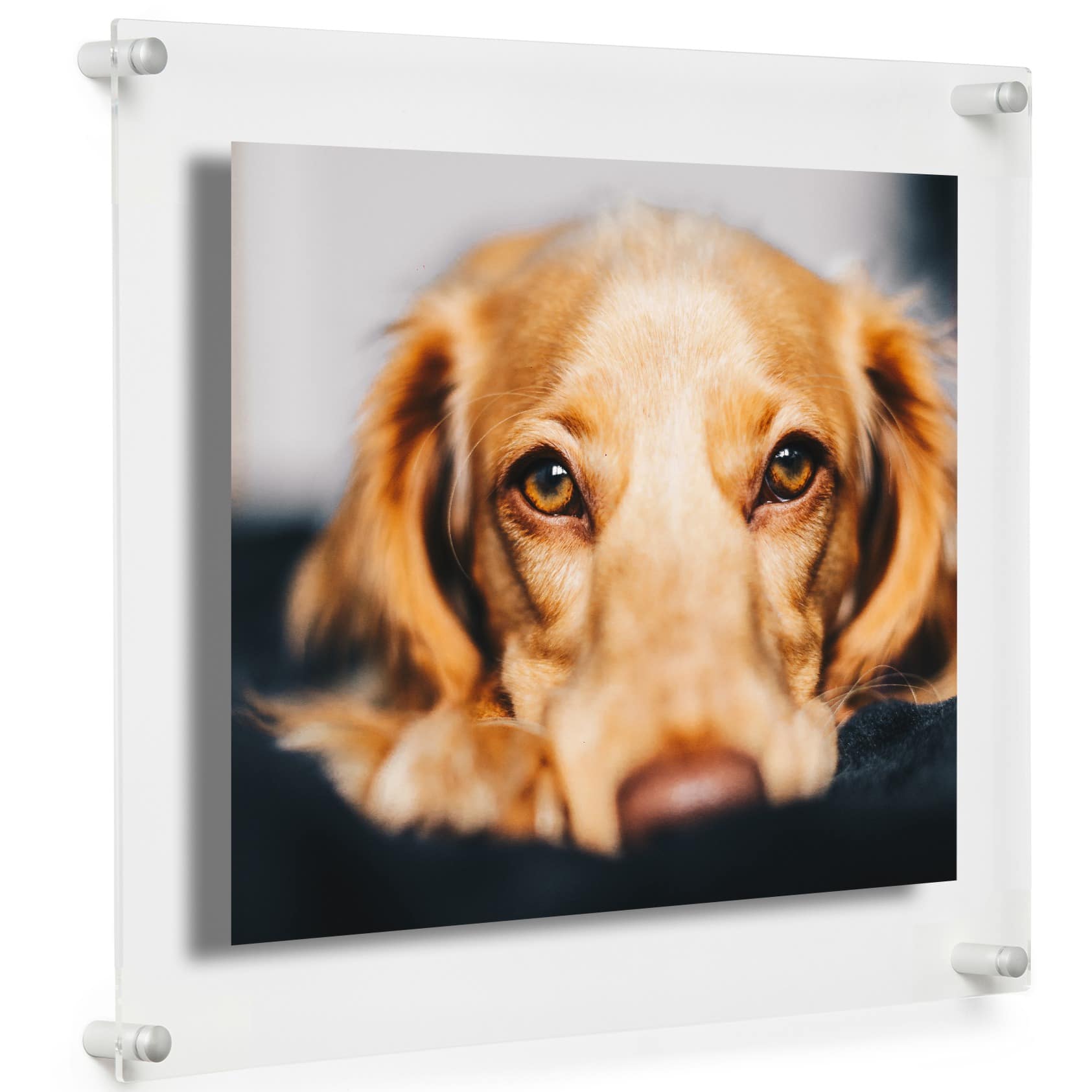 Cool Modern Frames Clear Acrylic Float Frame with Silver Hardware