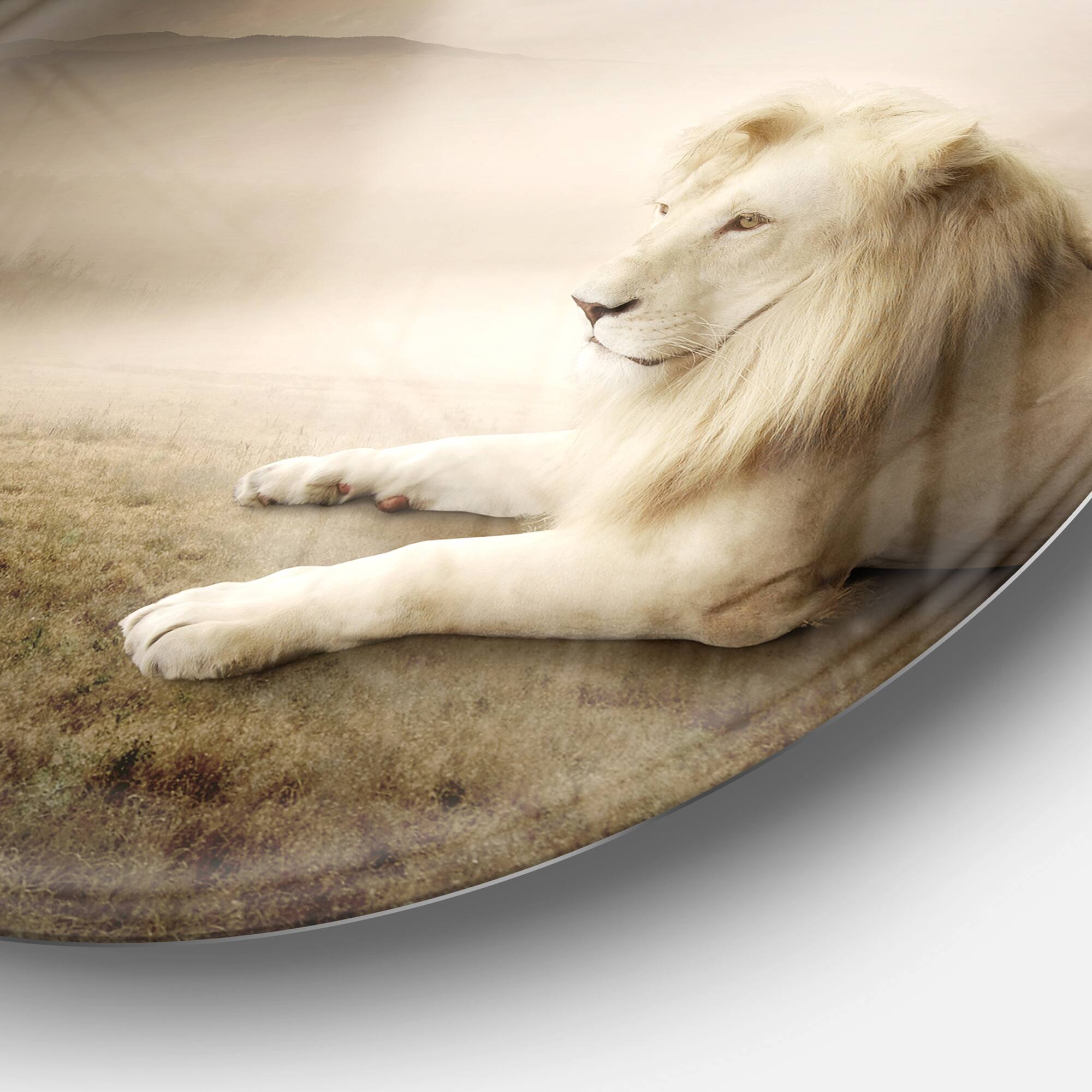 Designart - King of Animals At Sunset&#x27; Ultra Glossy Animal Oversized Metal Circle Wall Art