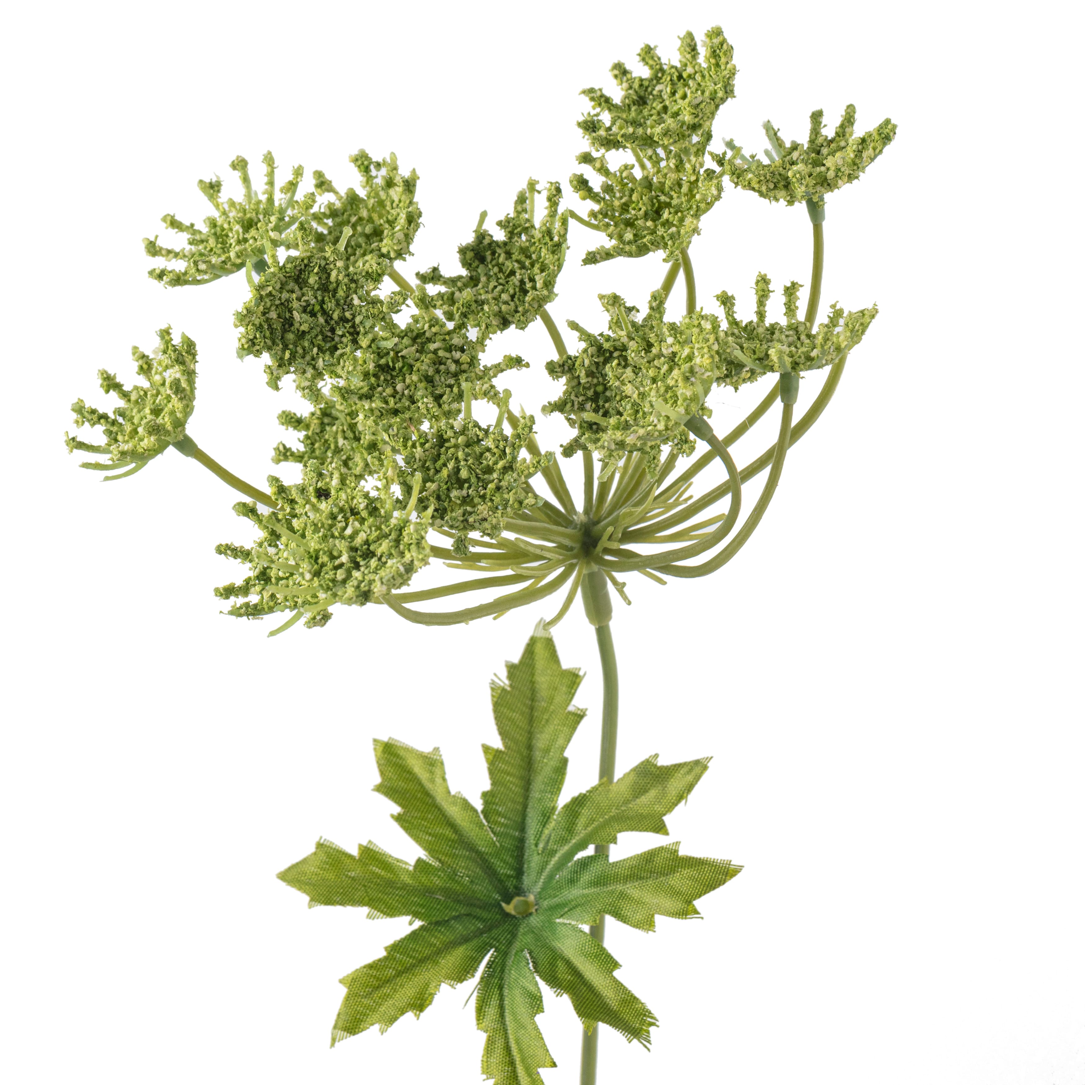 12 Pack: Light Green Queen Anne's Lace Spray by Ashland®