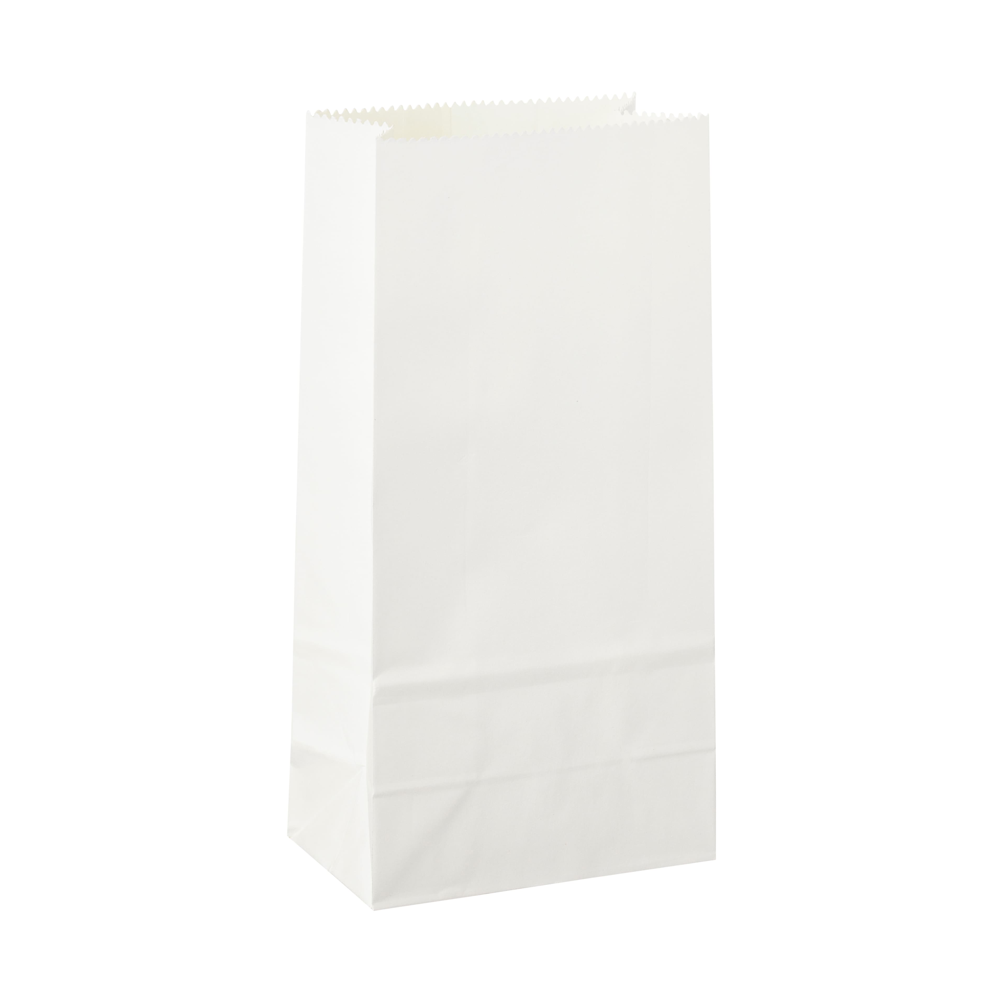 1lb. Treat Bags by Celebrate It™