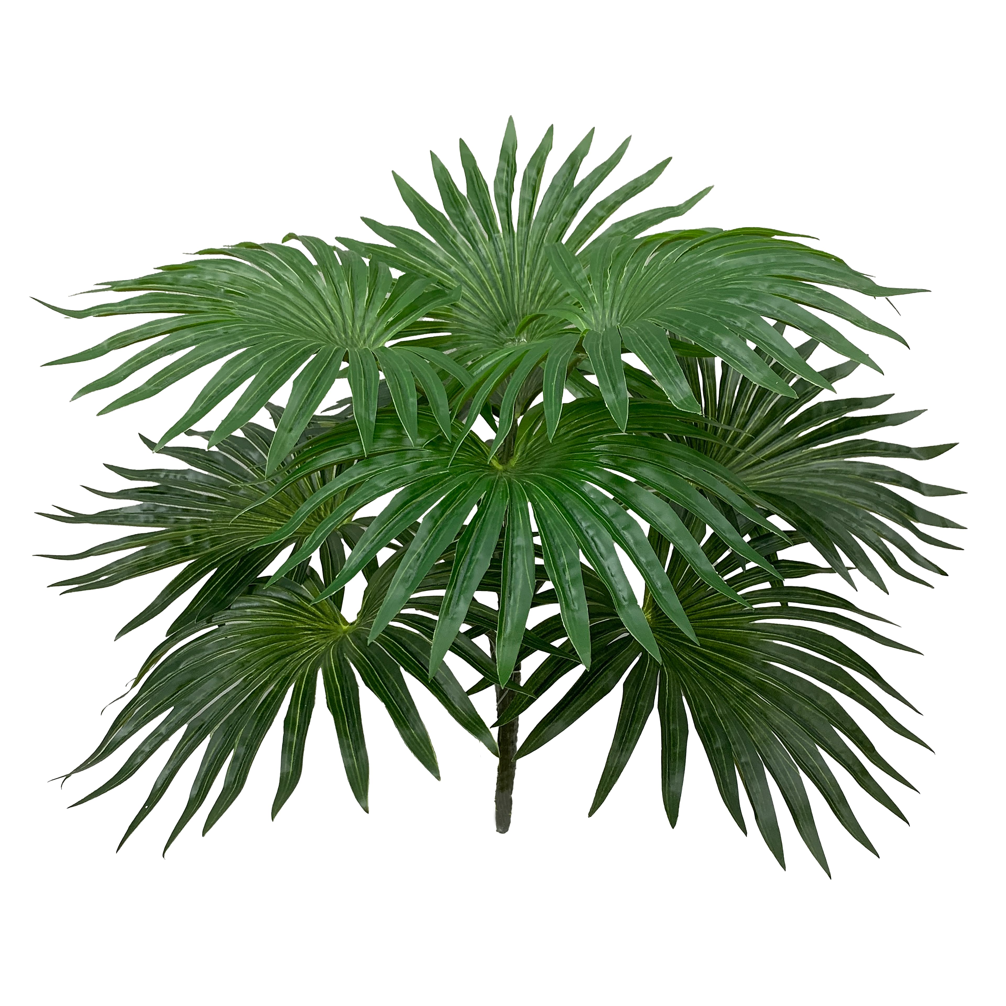 18&#x22; Green Fountain Palm Bush by Ashland&#xAE;
