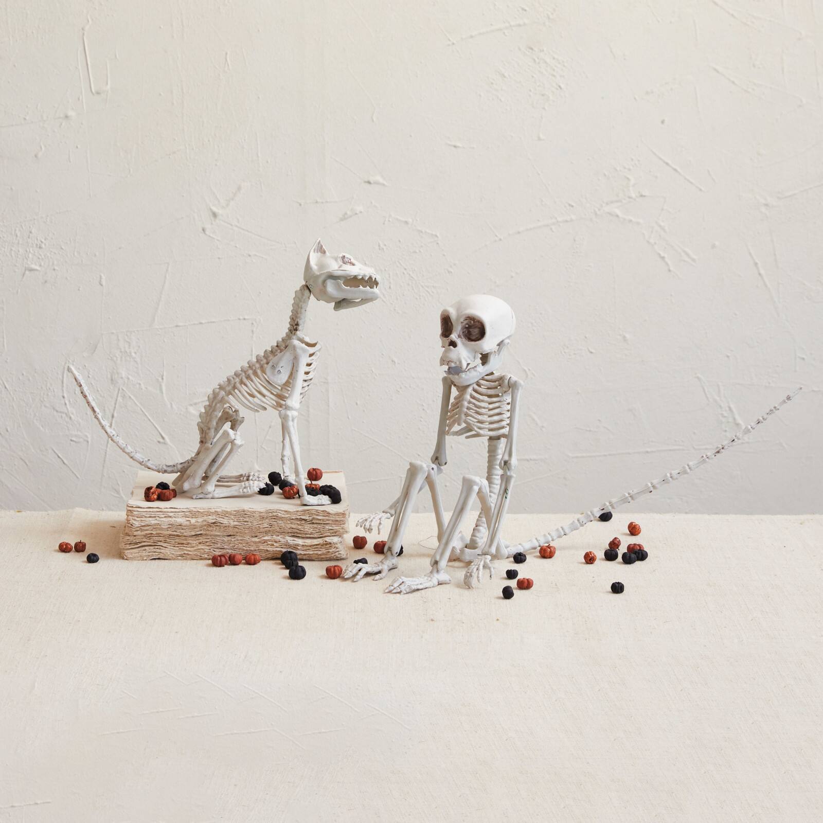 Hello Honey&#xAE; 23.5&#x22; Natural Plastic Monkey Skeleton D&#xE9;cor