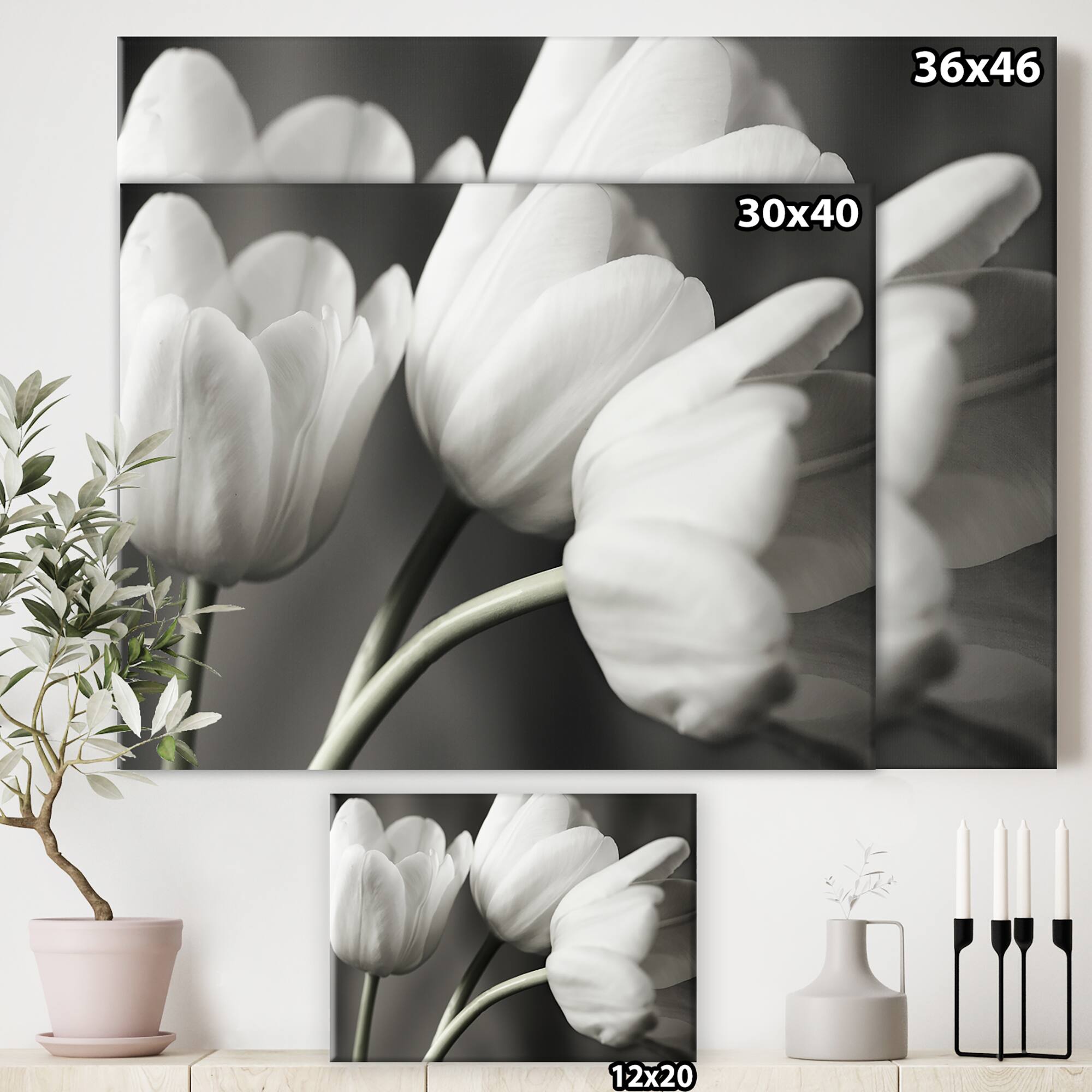 Designart - Row Of Bw Tulips - Cottage Canvas Artwork