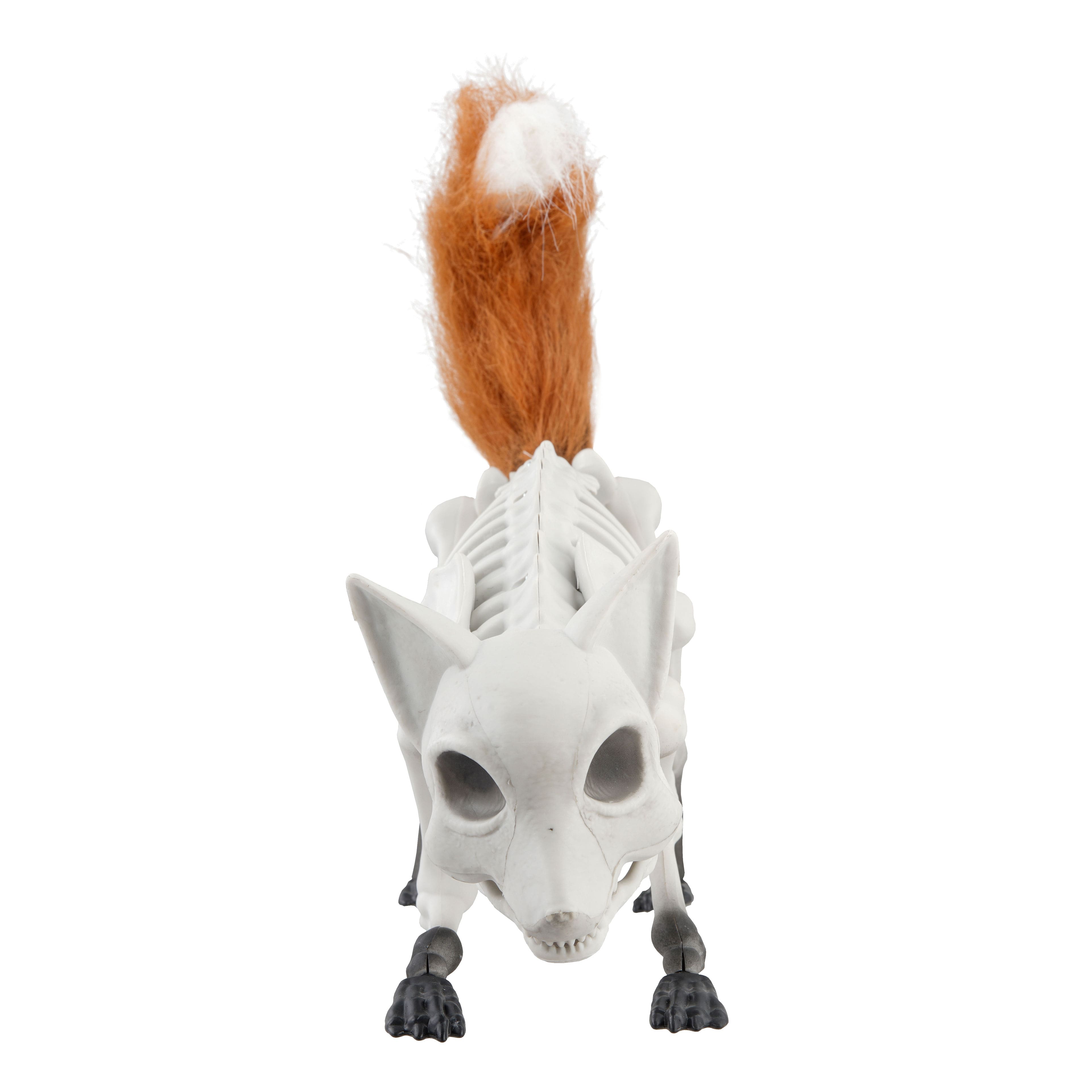 17.75&#x22; Fox Skeleton D&#xE9;cor by Ashland&#xAE;