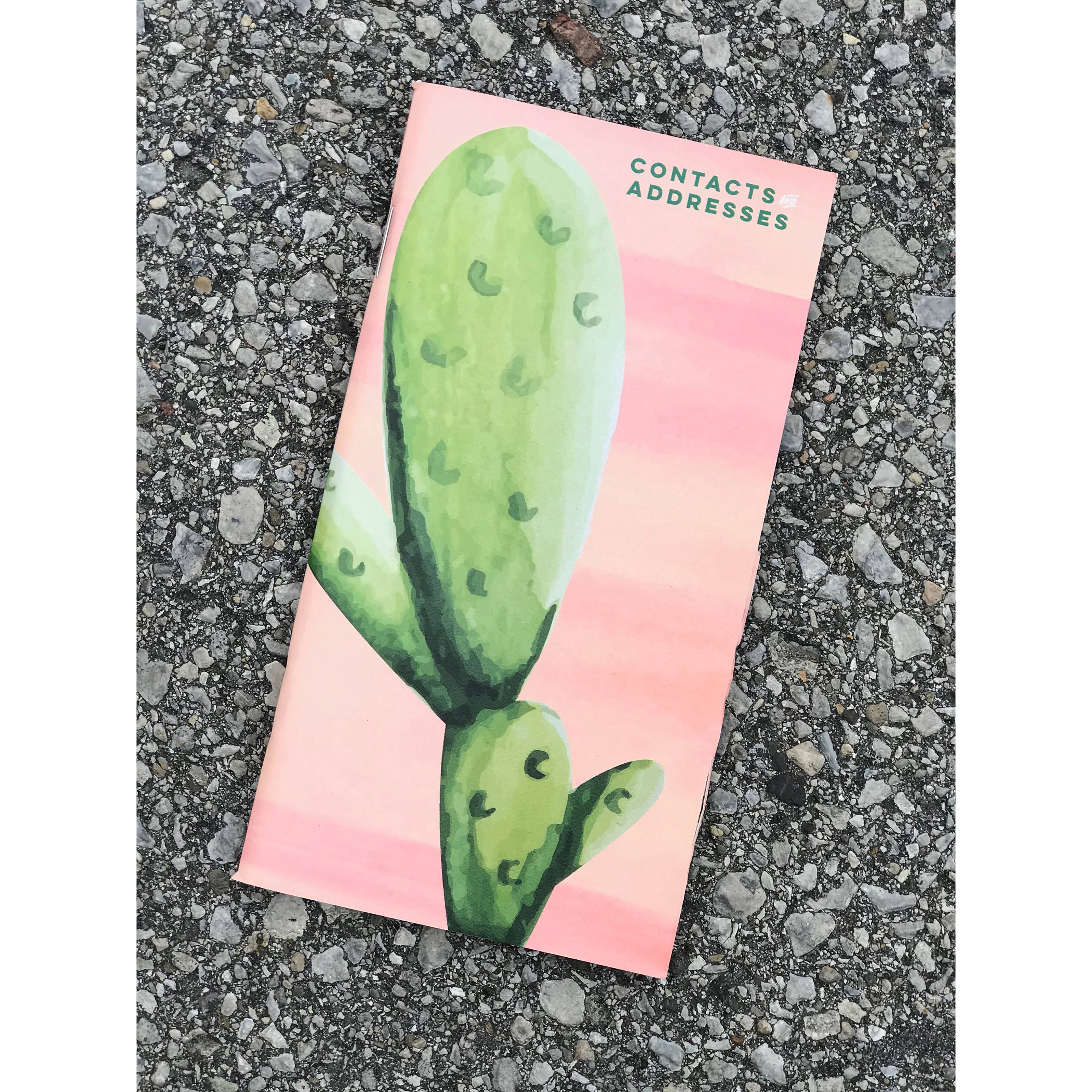 TF Publishing Cactus Address Book