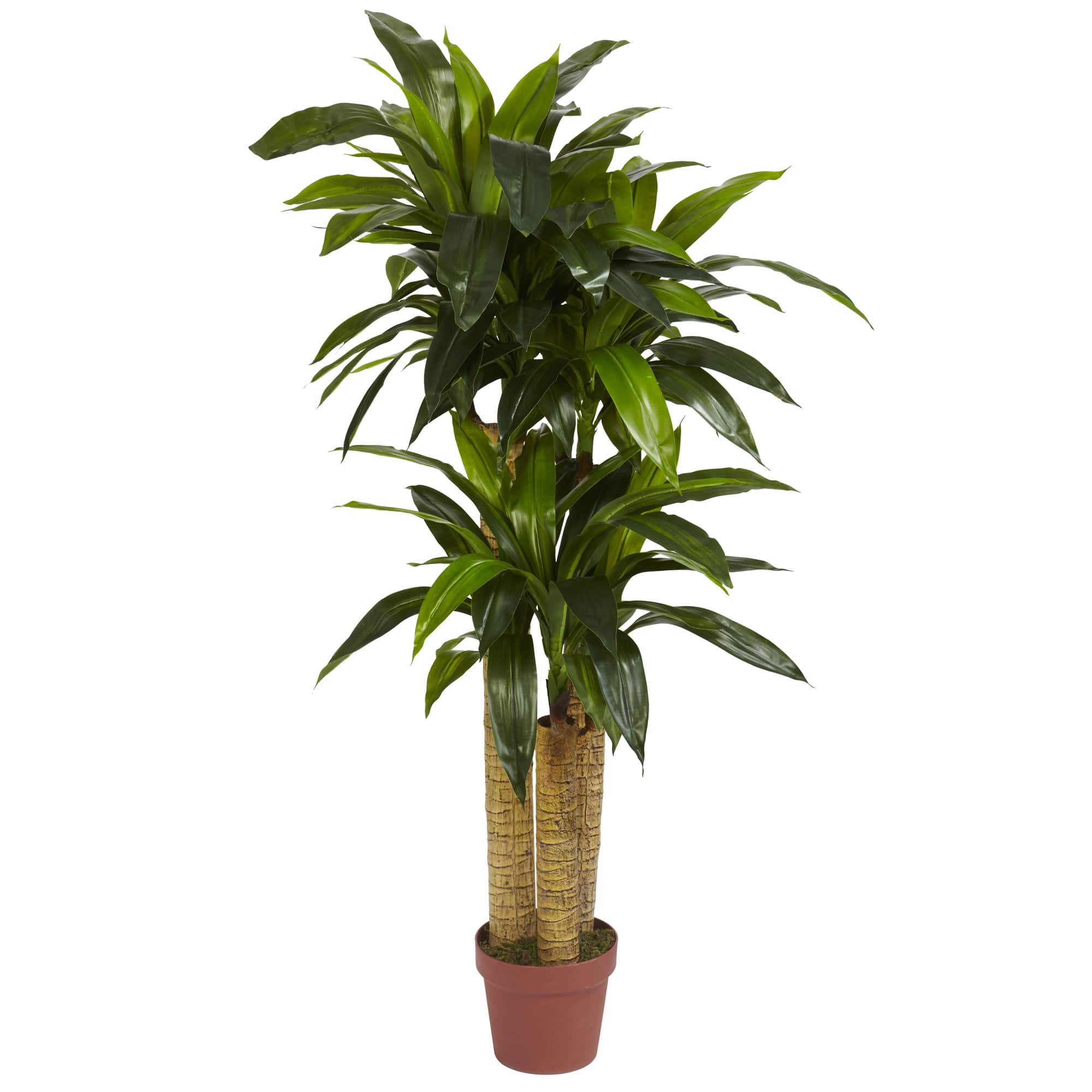 4ft. Corn Stalk Dracaena Silk Plant