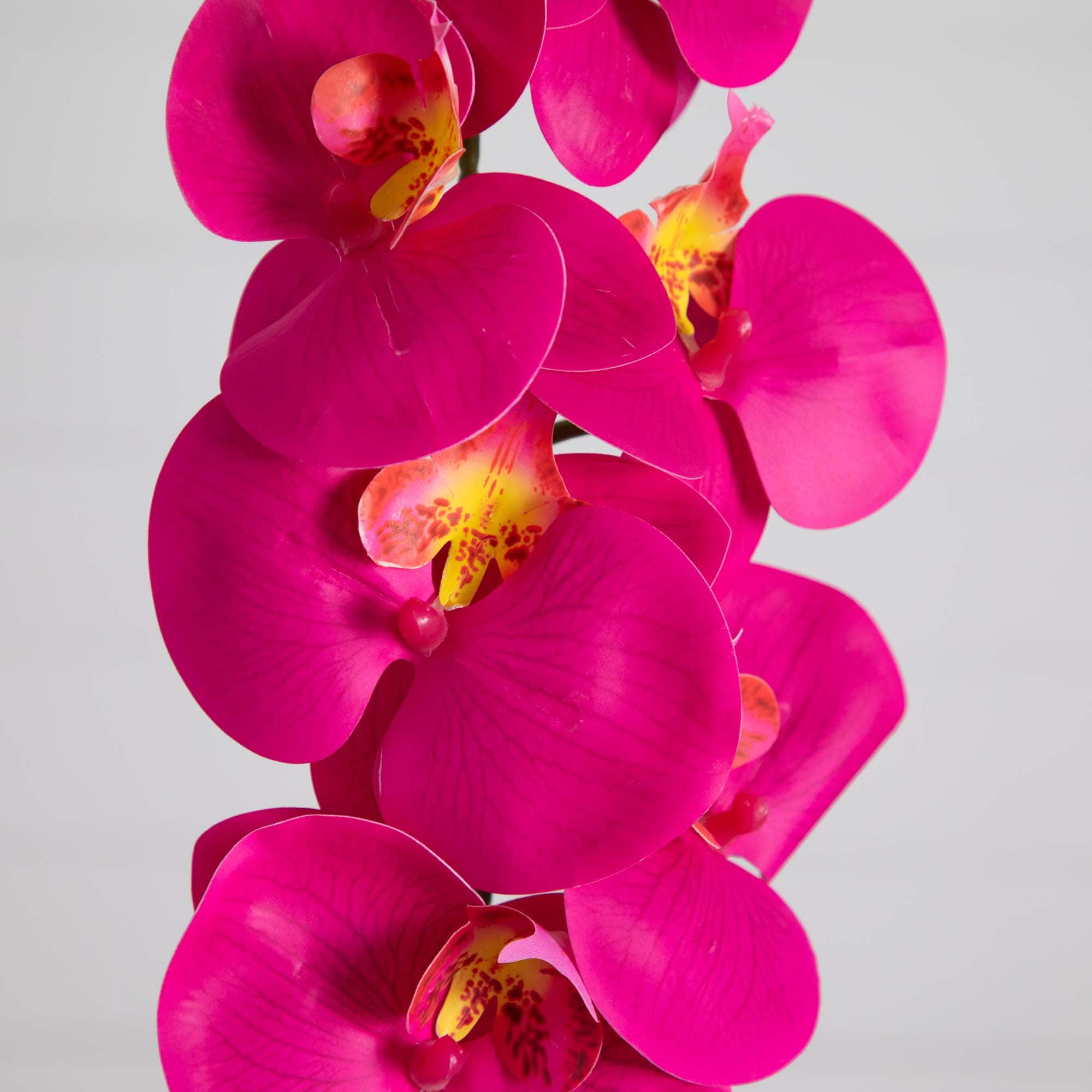 35&#x22; Beauty Pink Orchid Flower Stems, 3ct.