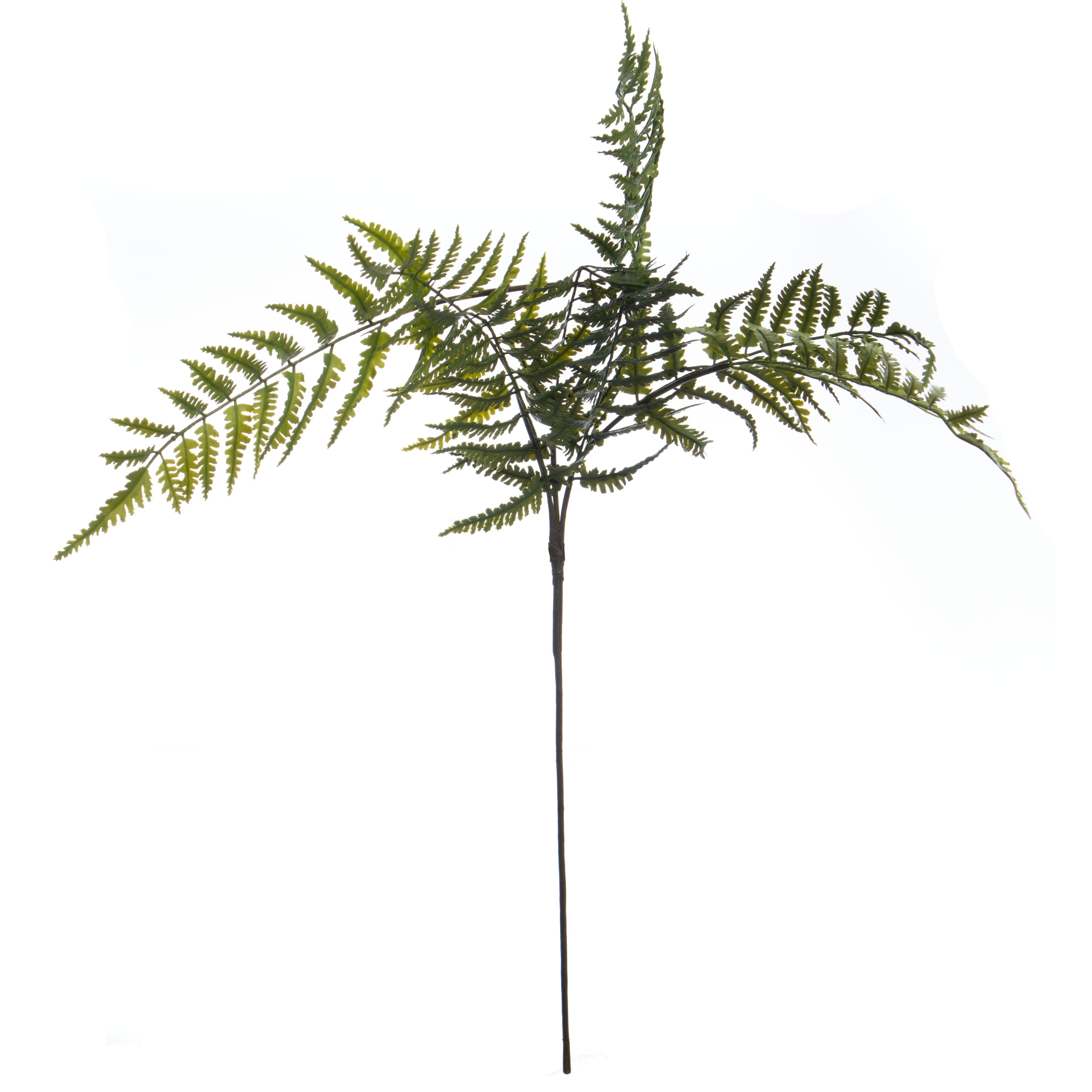 20" Green Hanging Fern Stem by Ashland®