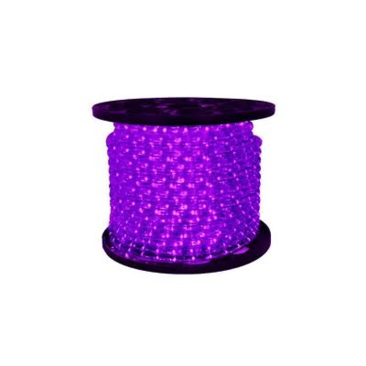 24ft. Purple Commercial Grade LED Outdoor Christmas Rope Lights