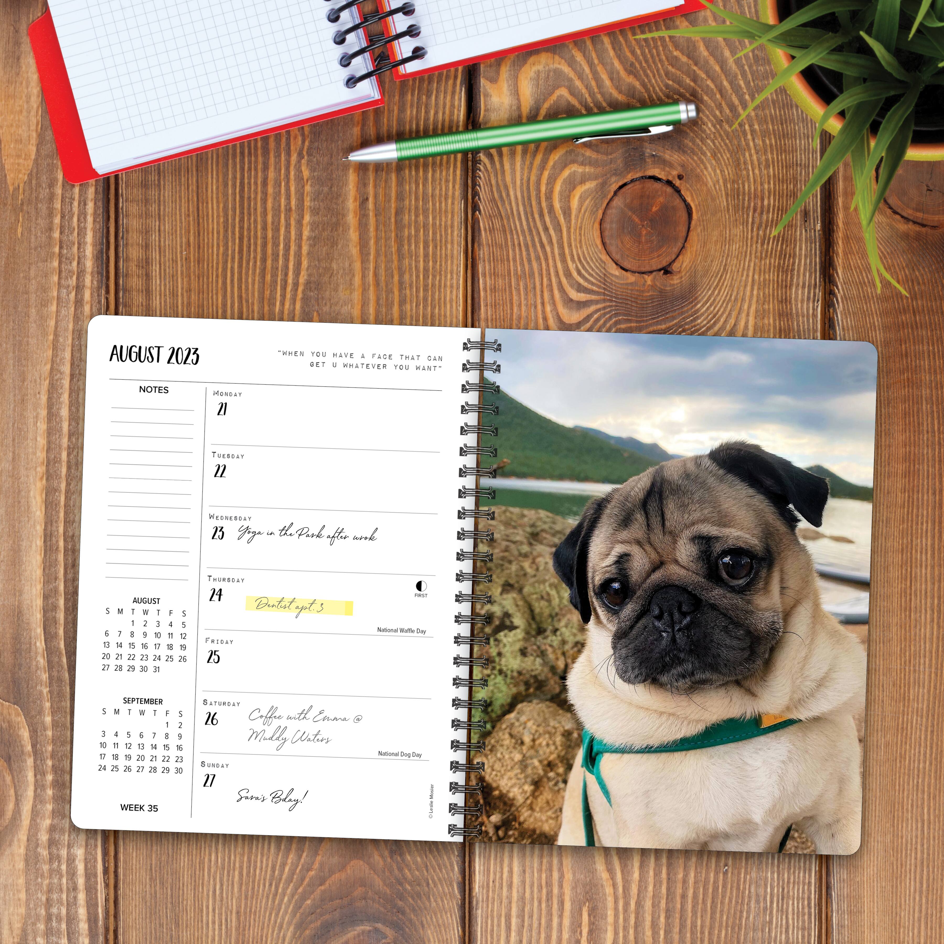 2023 Doug the Pug Engagement Calendar Michaels