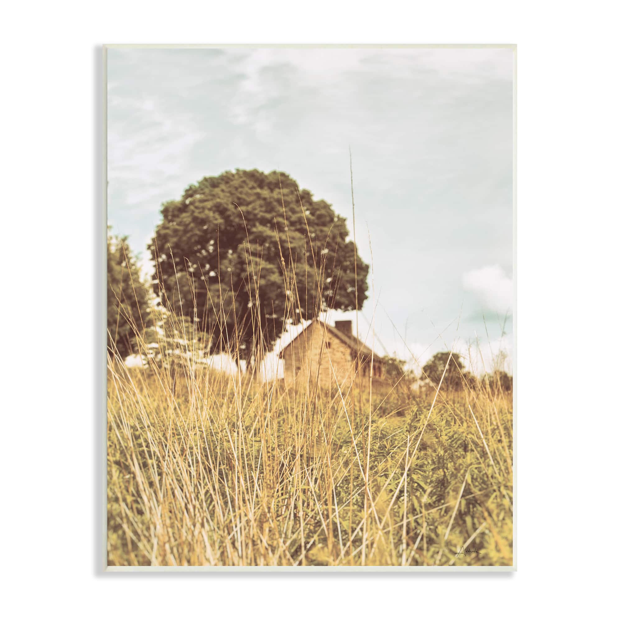 Stupell Industries Countryside Farm Meadow Tall Grass Summer Landscape Photography Wall Plaque