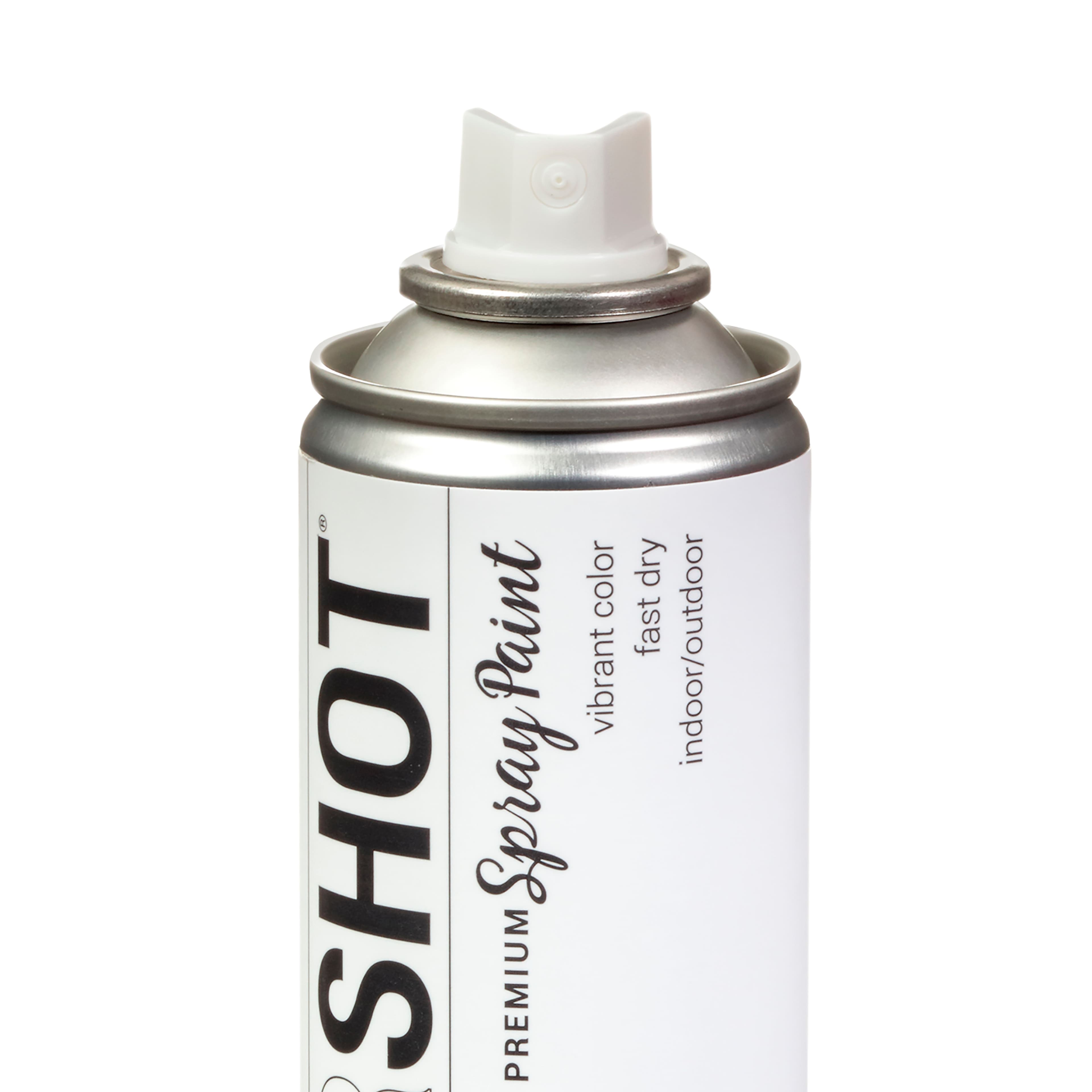 COLORSHOT® Head In the Clouds Matte Spray Paint