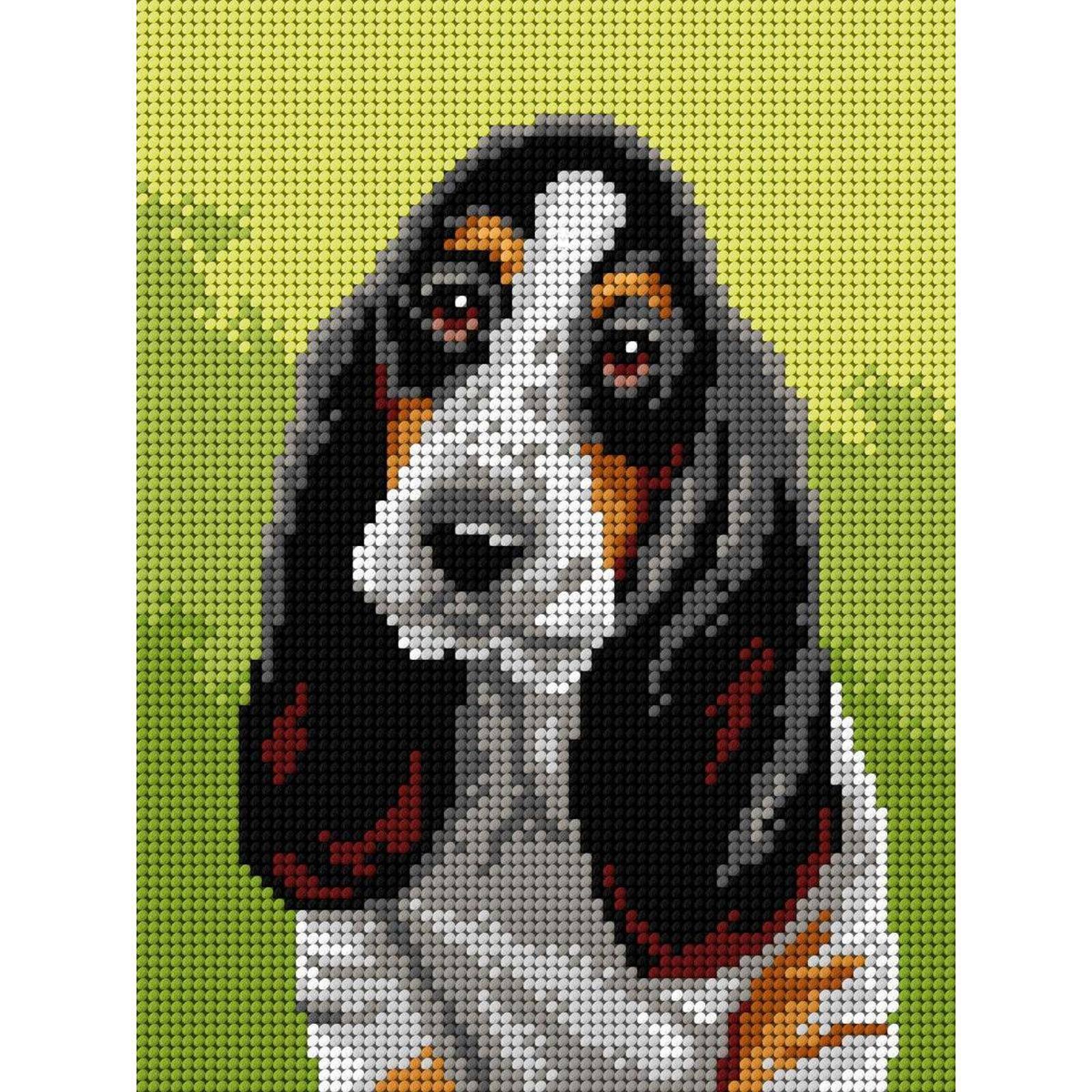 Orchidea Basset Counted Cross Stitch Kit